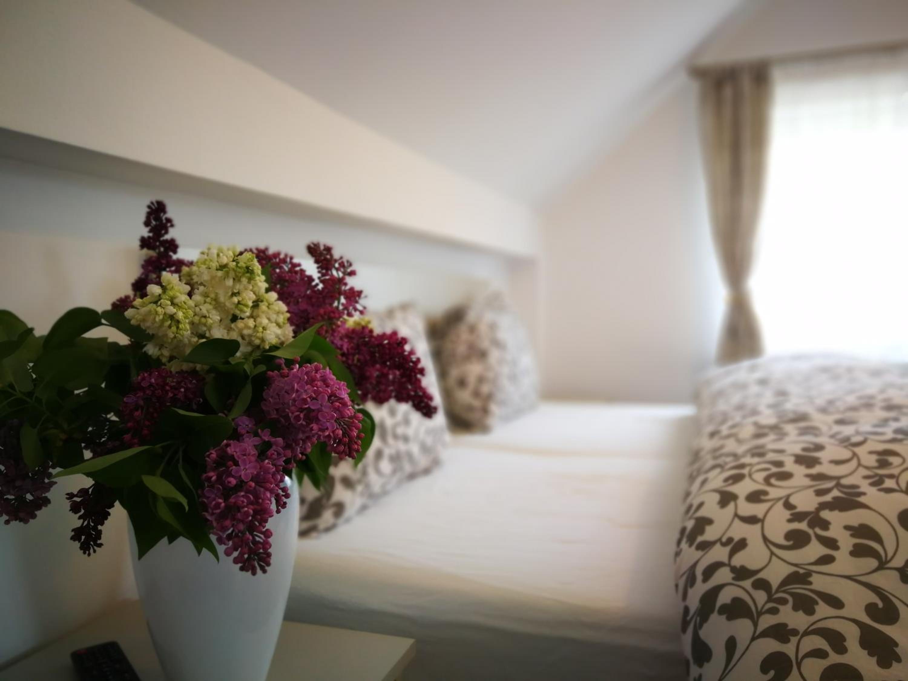 Coroni Residence - Cazare Delegati si Muncitori Brasov