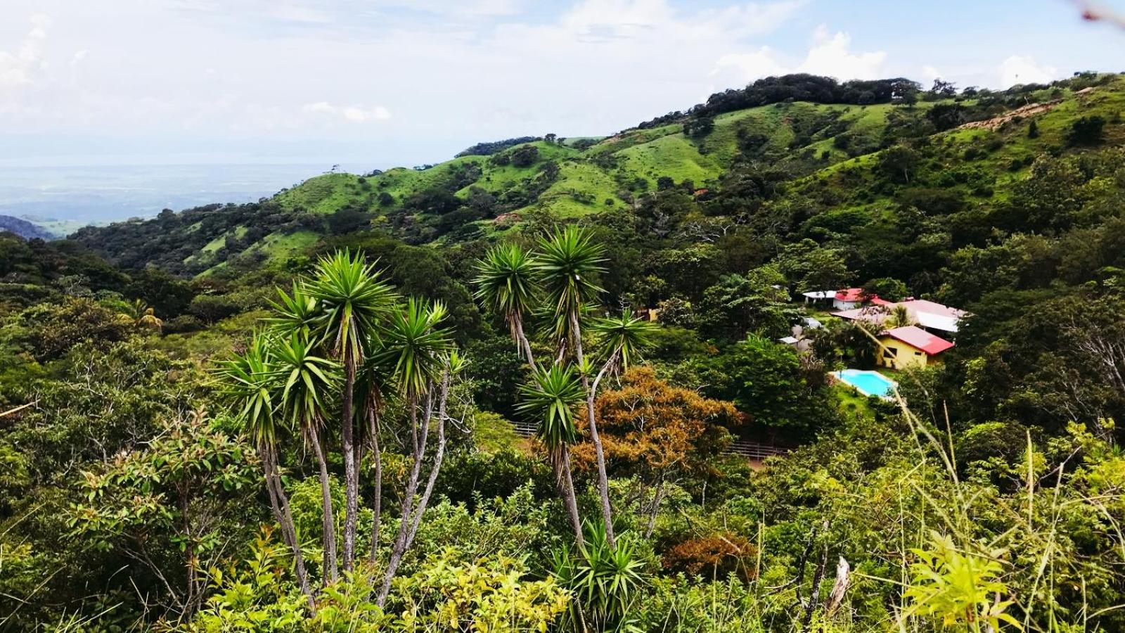 Hacienda Sassenberg
