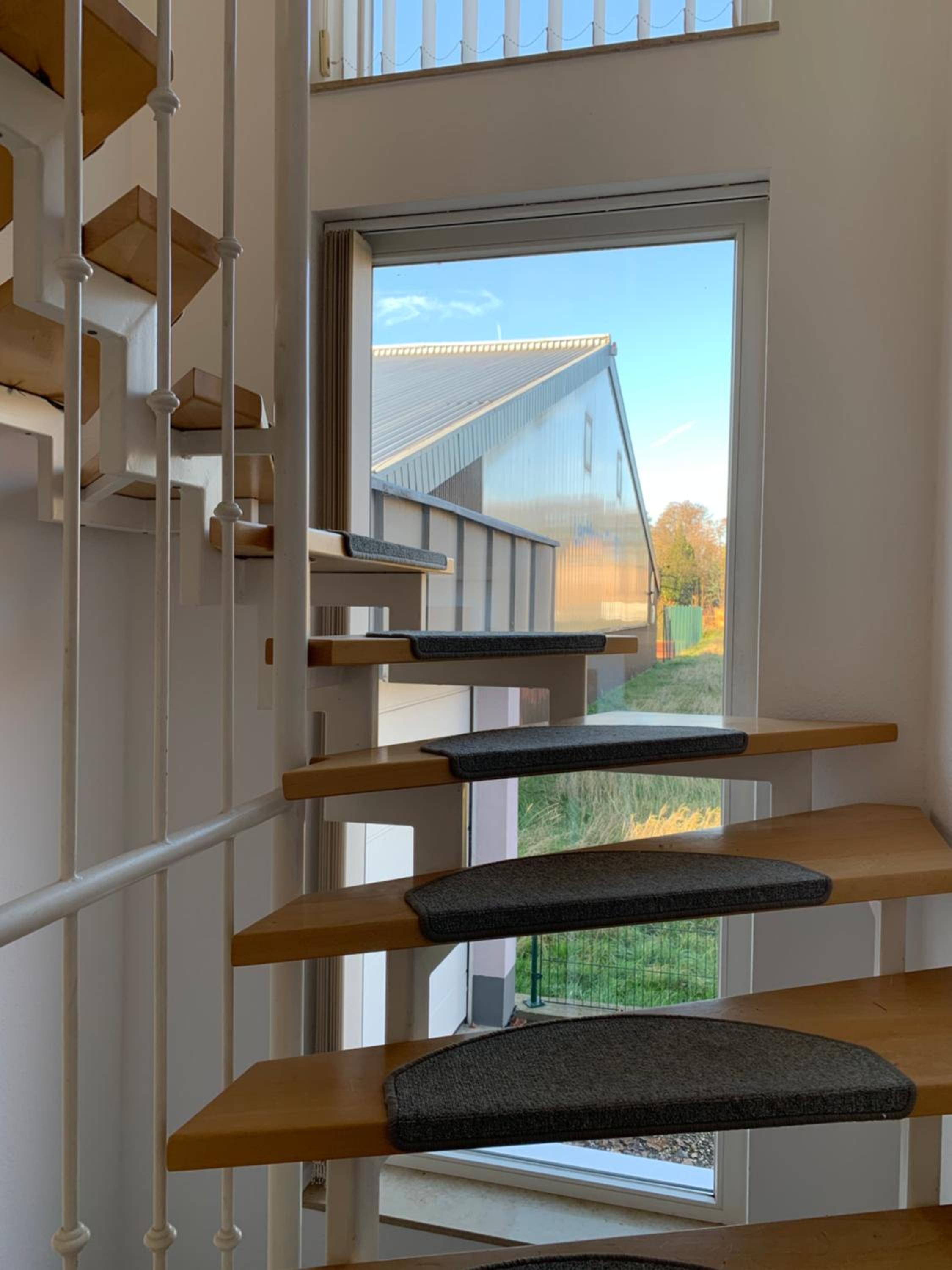 Ferienwohnung Blütenstadt view 2