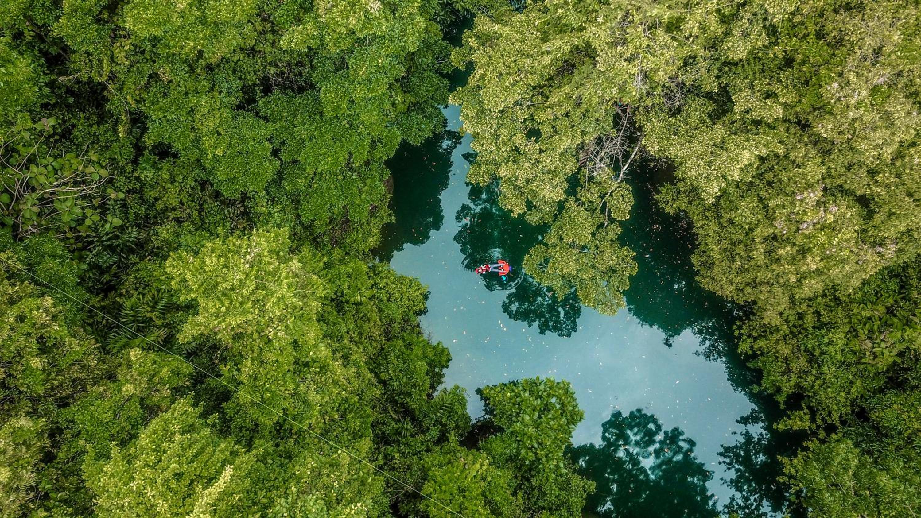 Hau Eco Lodges Citumang Pangandaran