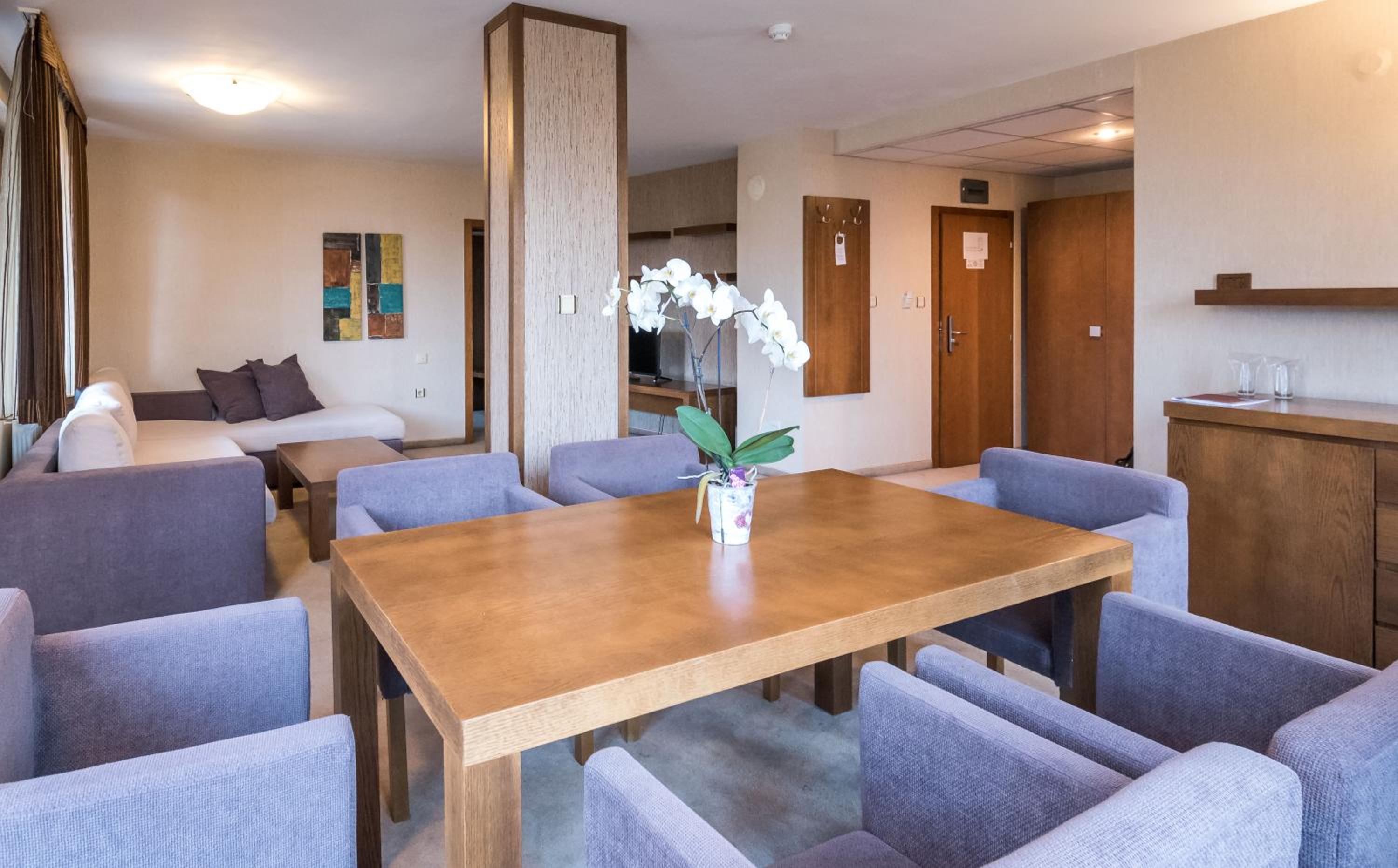 Bansko Vacations - Evelina Palace Hotel - Property Image 98