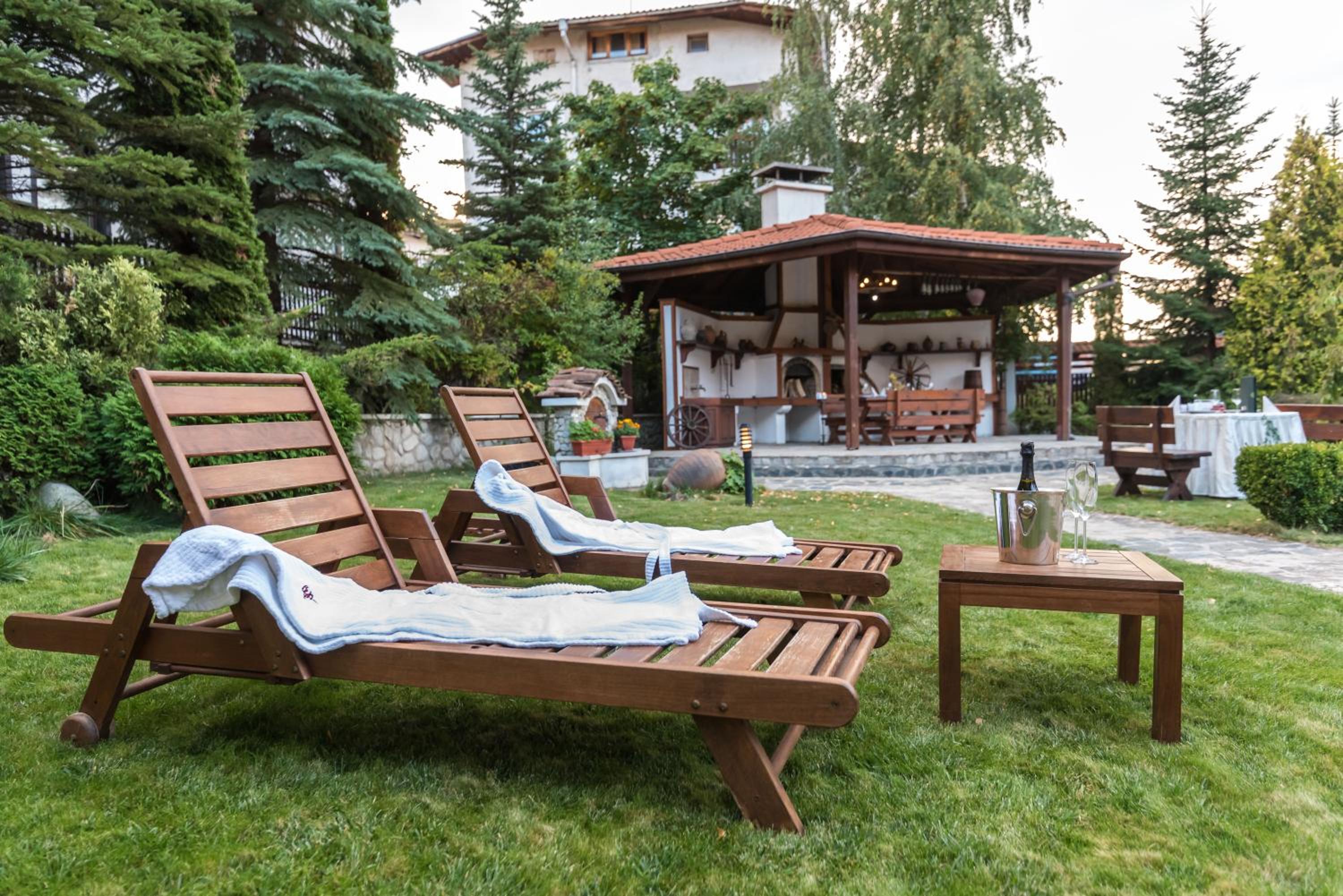 Bansko Vacations - Evelina Palace Hotel - Property Image 85