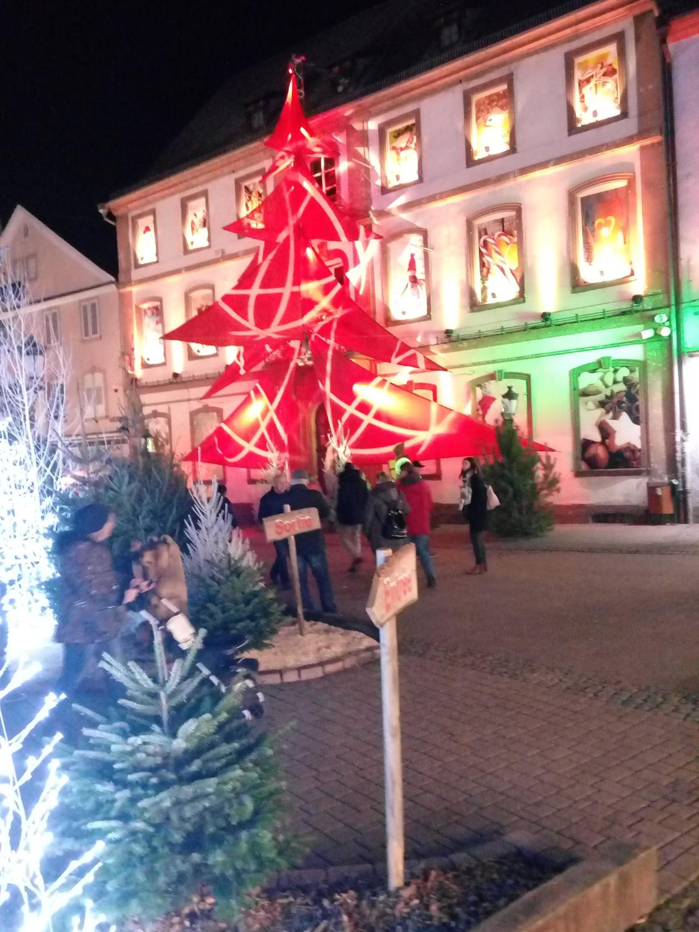 Photo 30