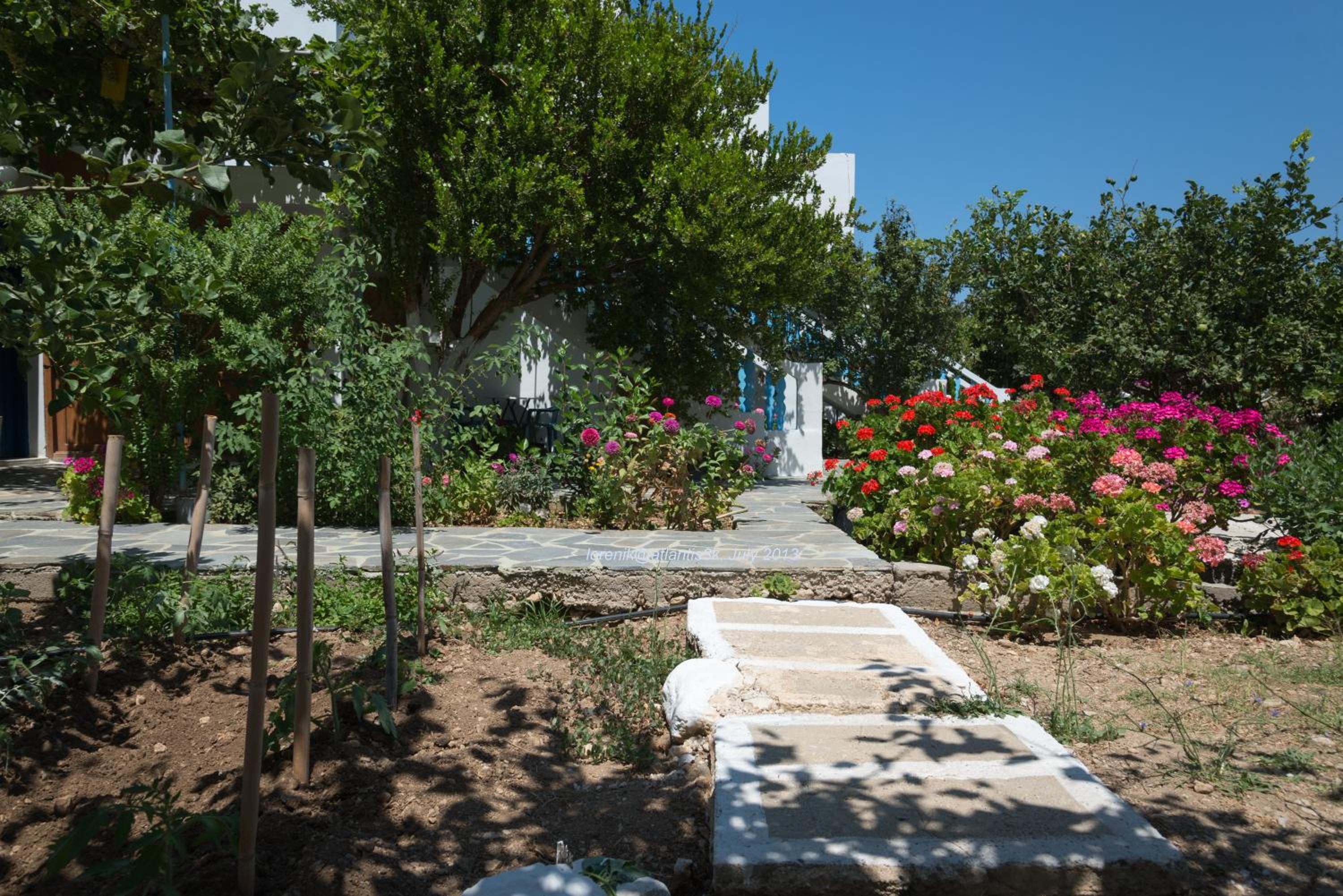 Photo 20