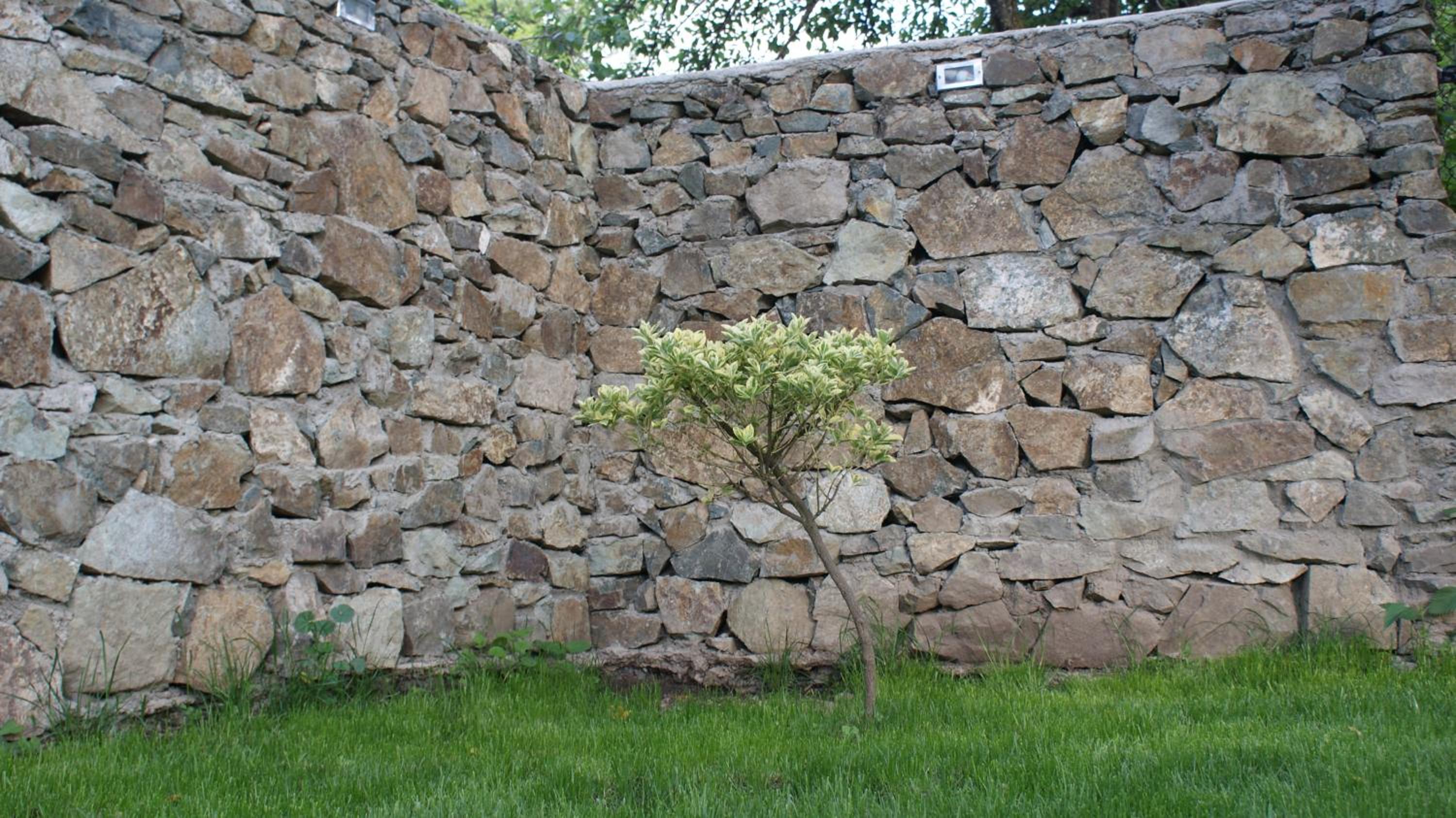 Takht House