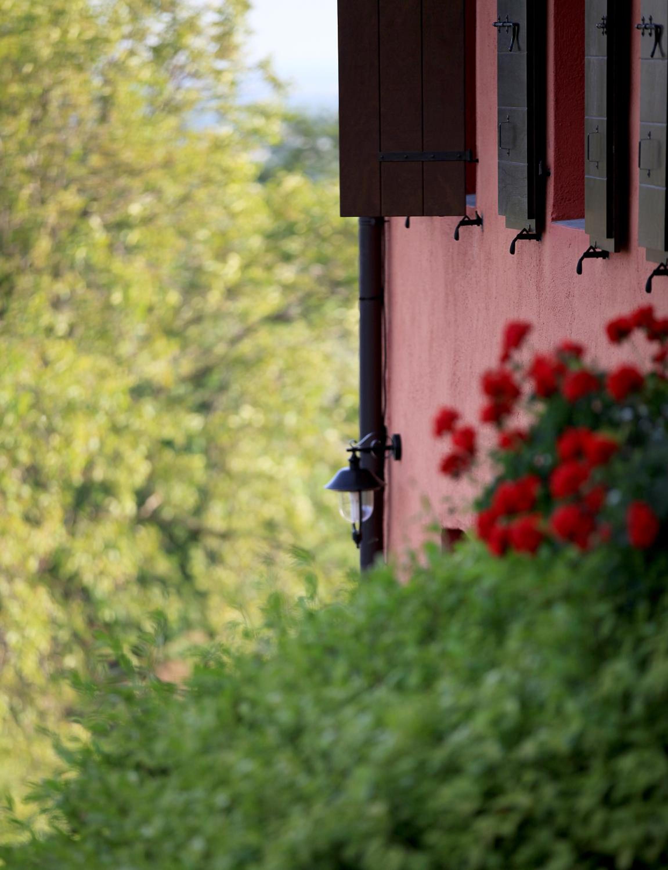 Agriturismo Casa Rossa Ai Colli