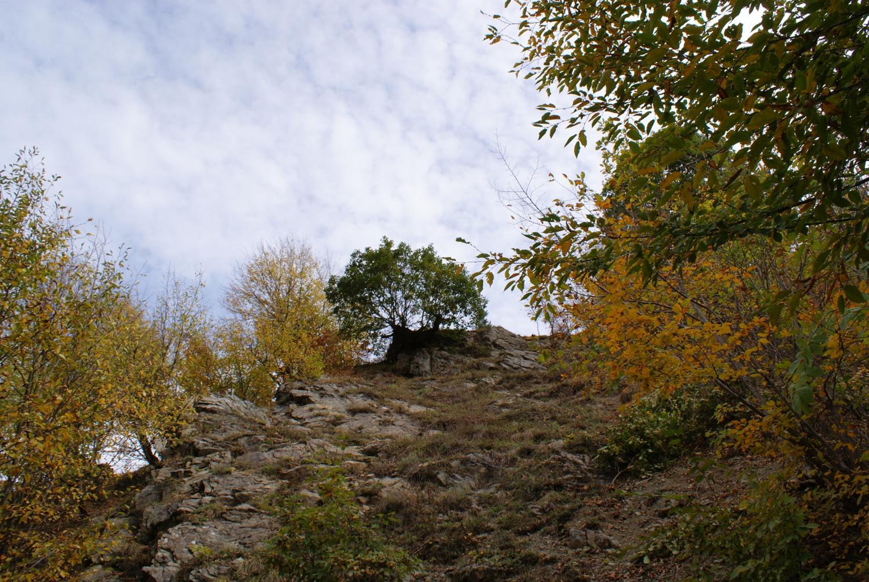 Takht House