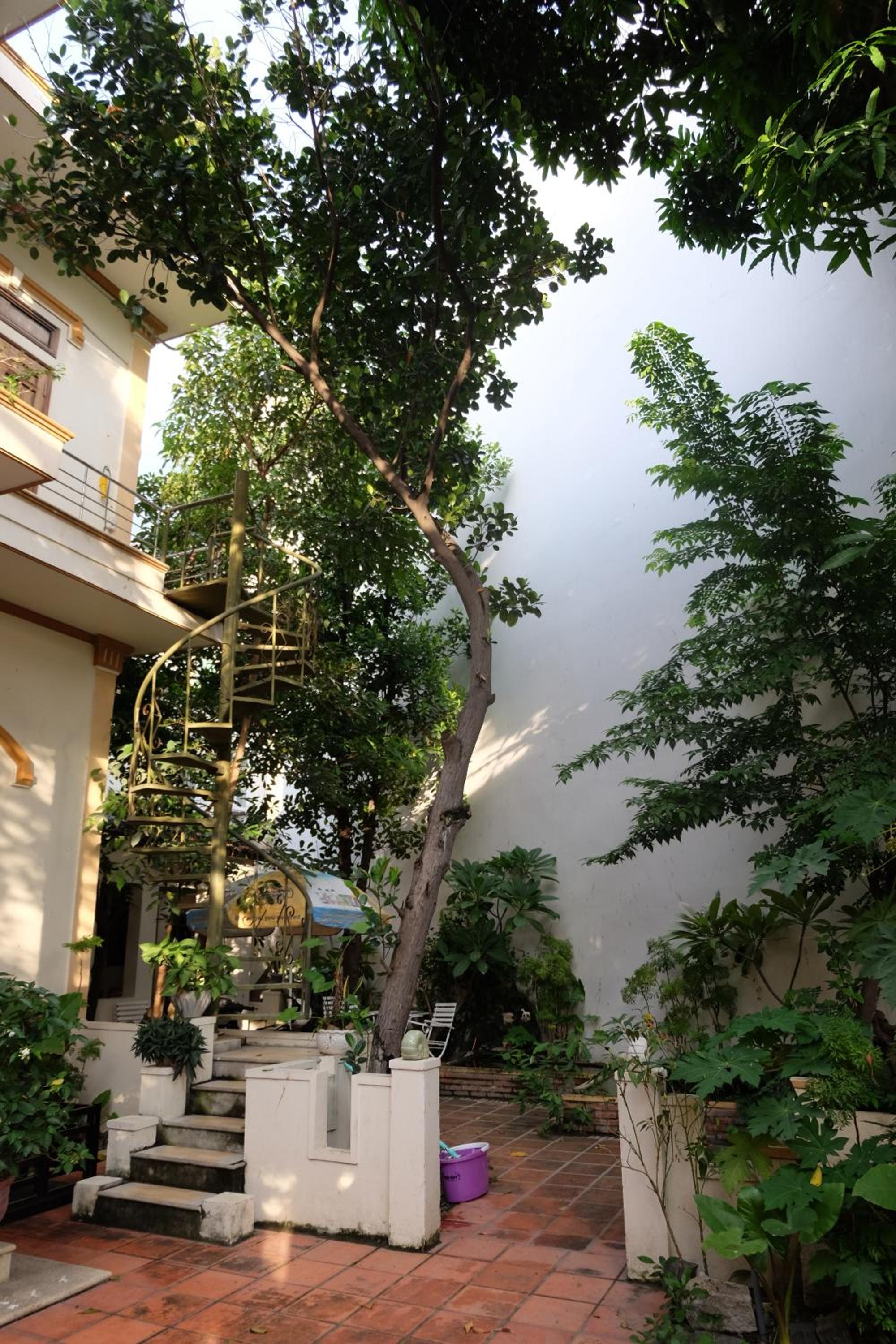 Moon house tropical garden - Lavender view 4