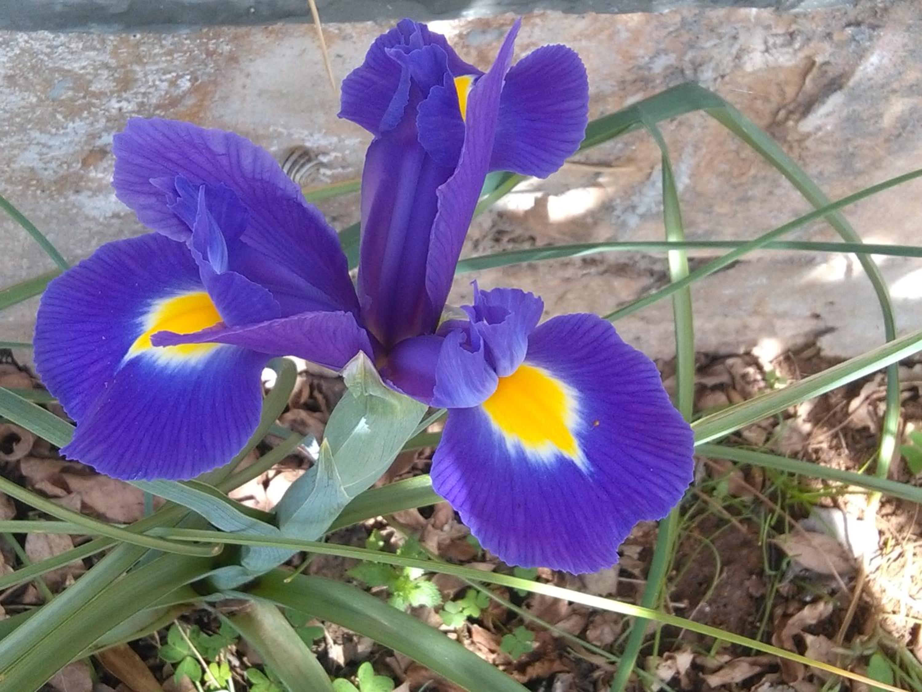 Photo 41