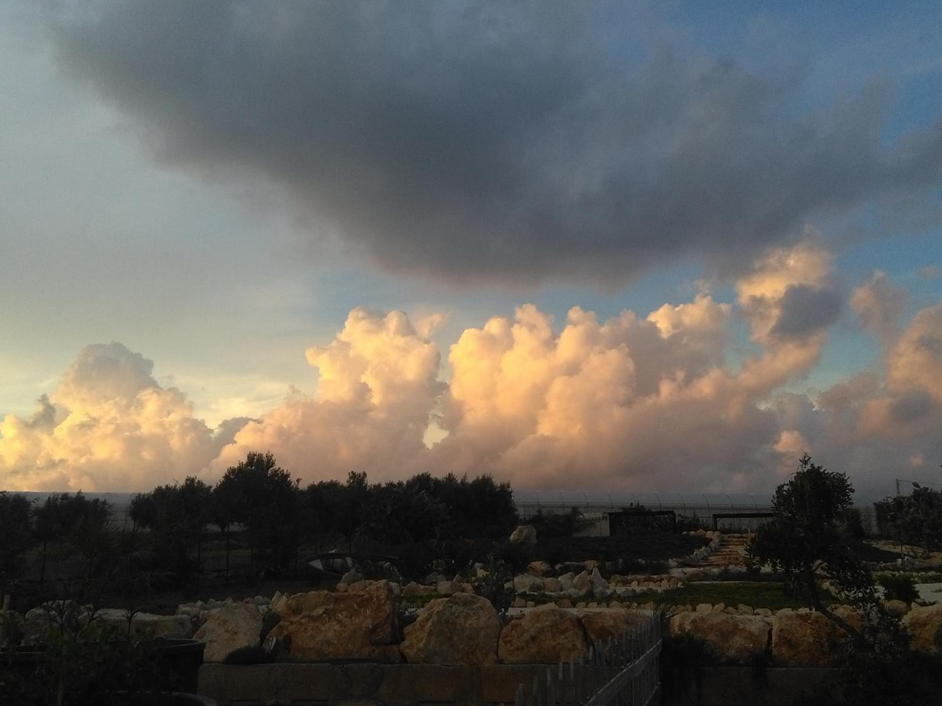 Photo 29