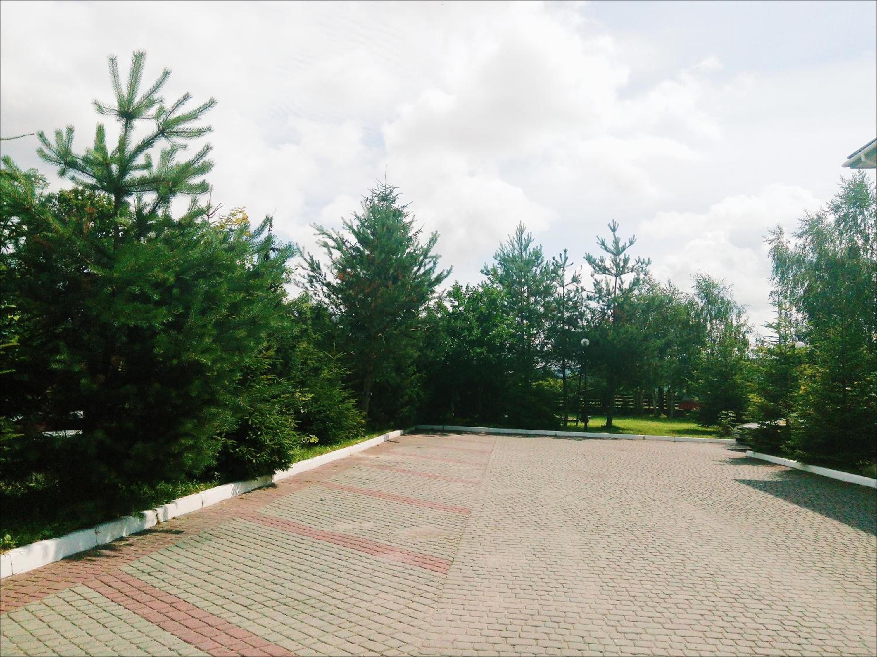 Karpaty Viking