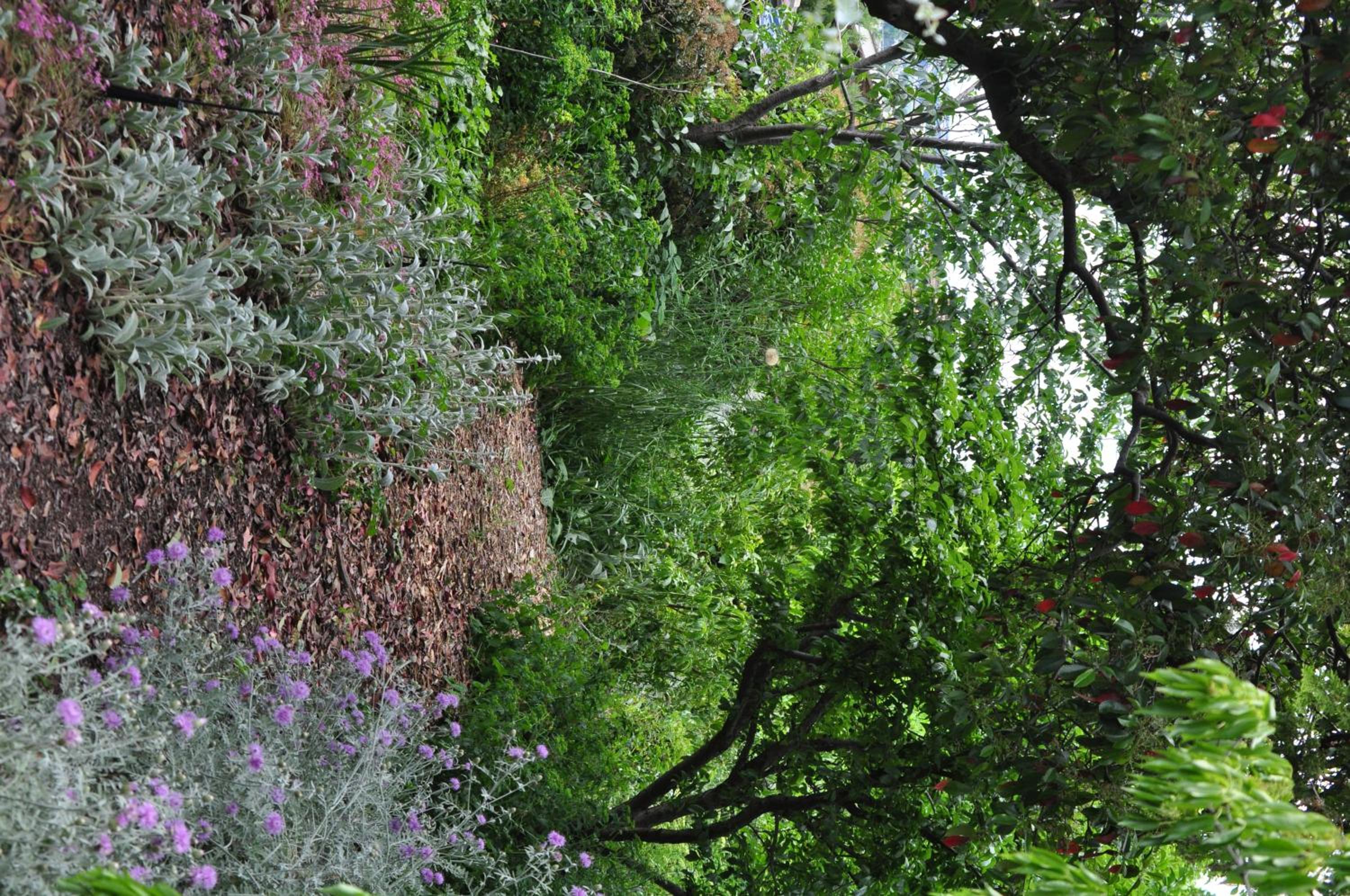 Holmhurst Guest House