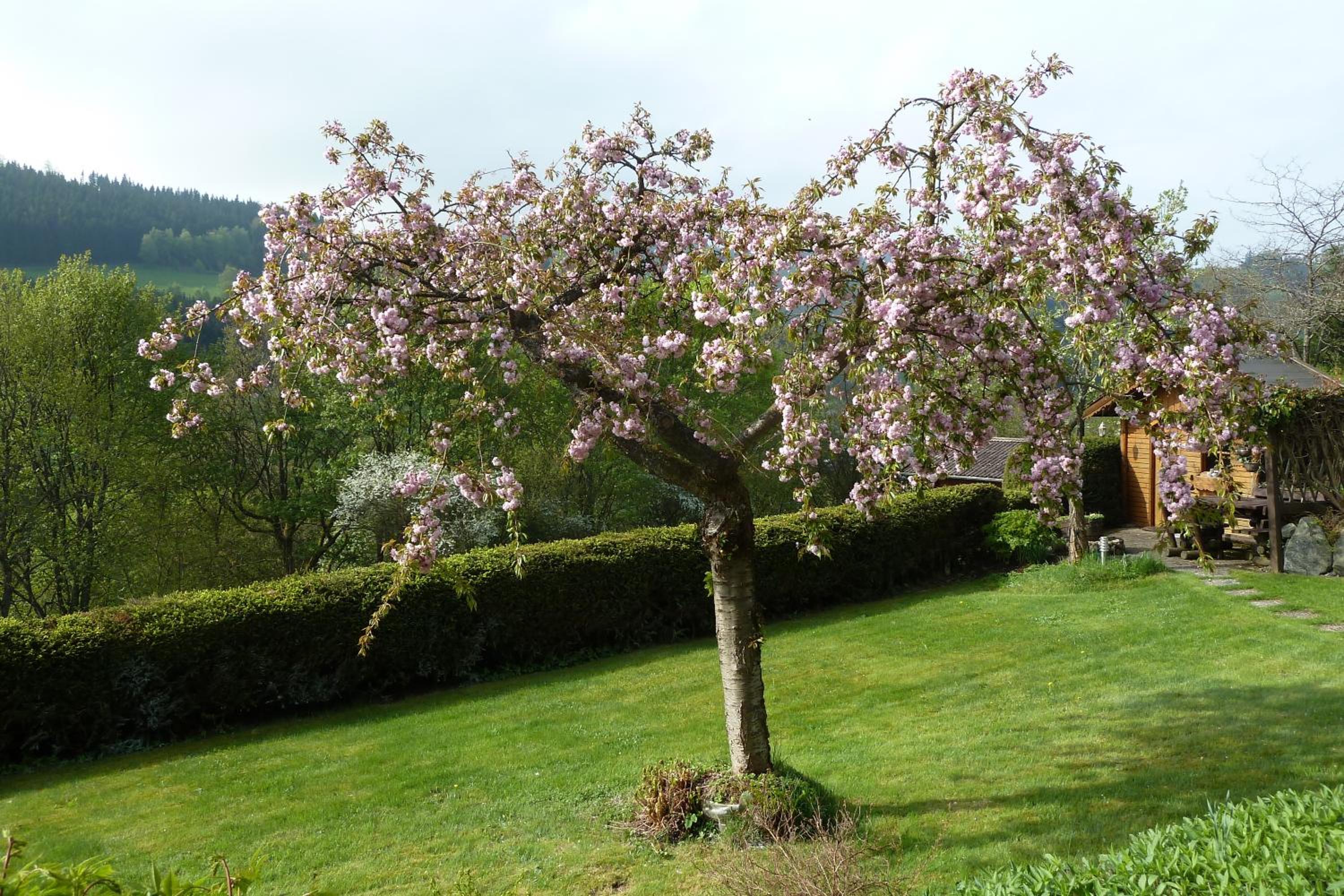 Photo 13