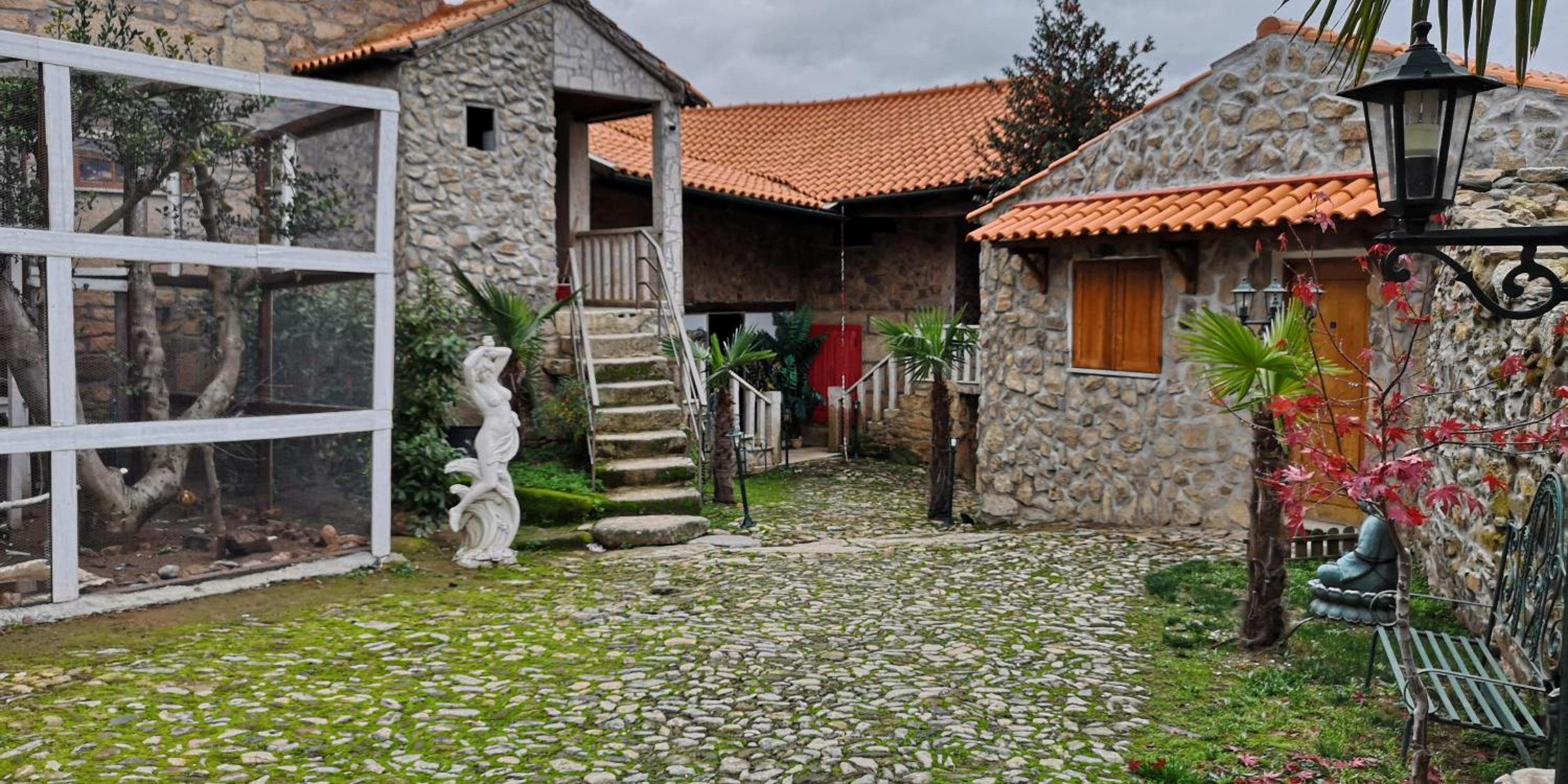 Photo 46