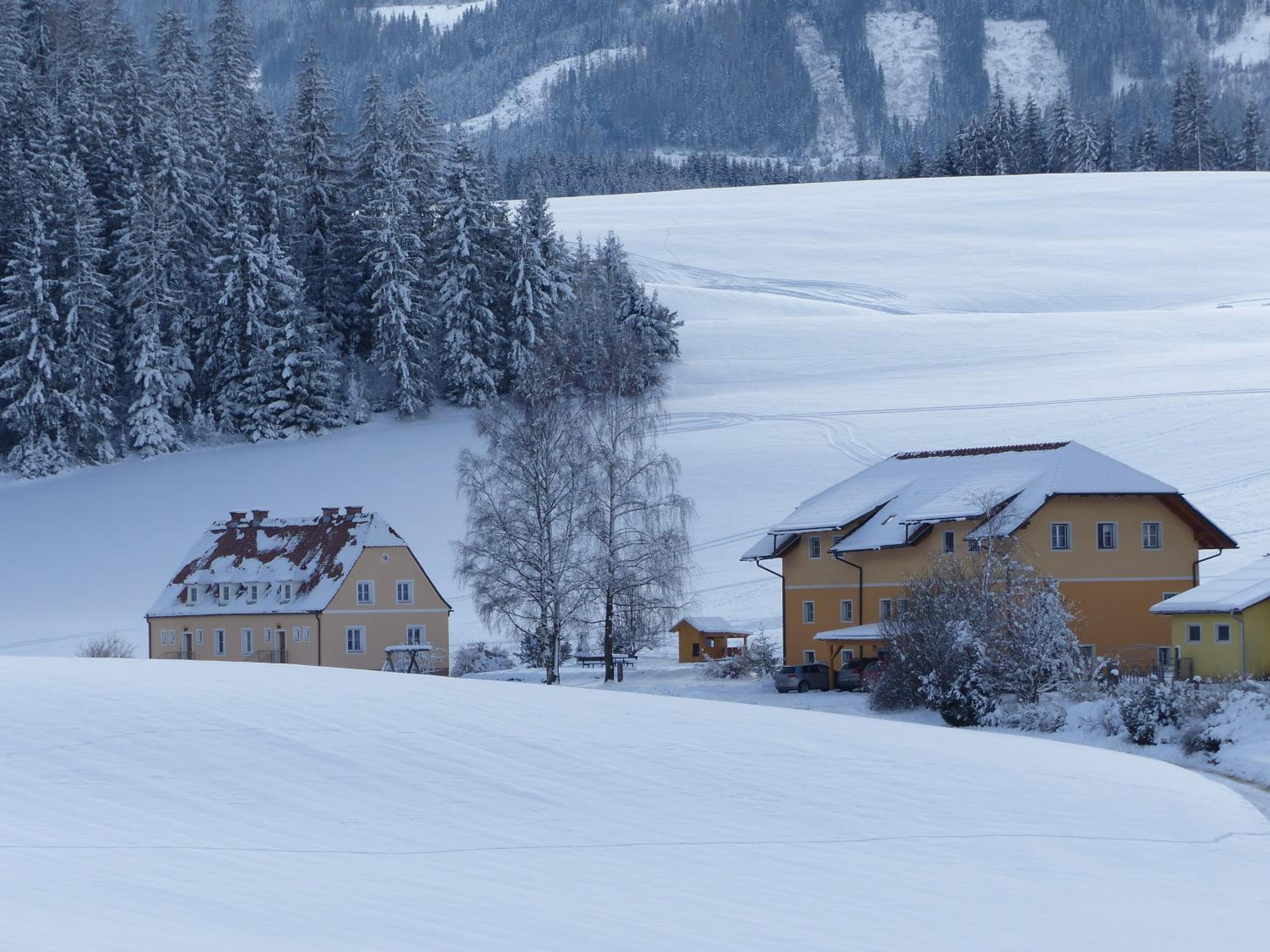 Ferienhaus Wohleser