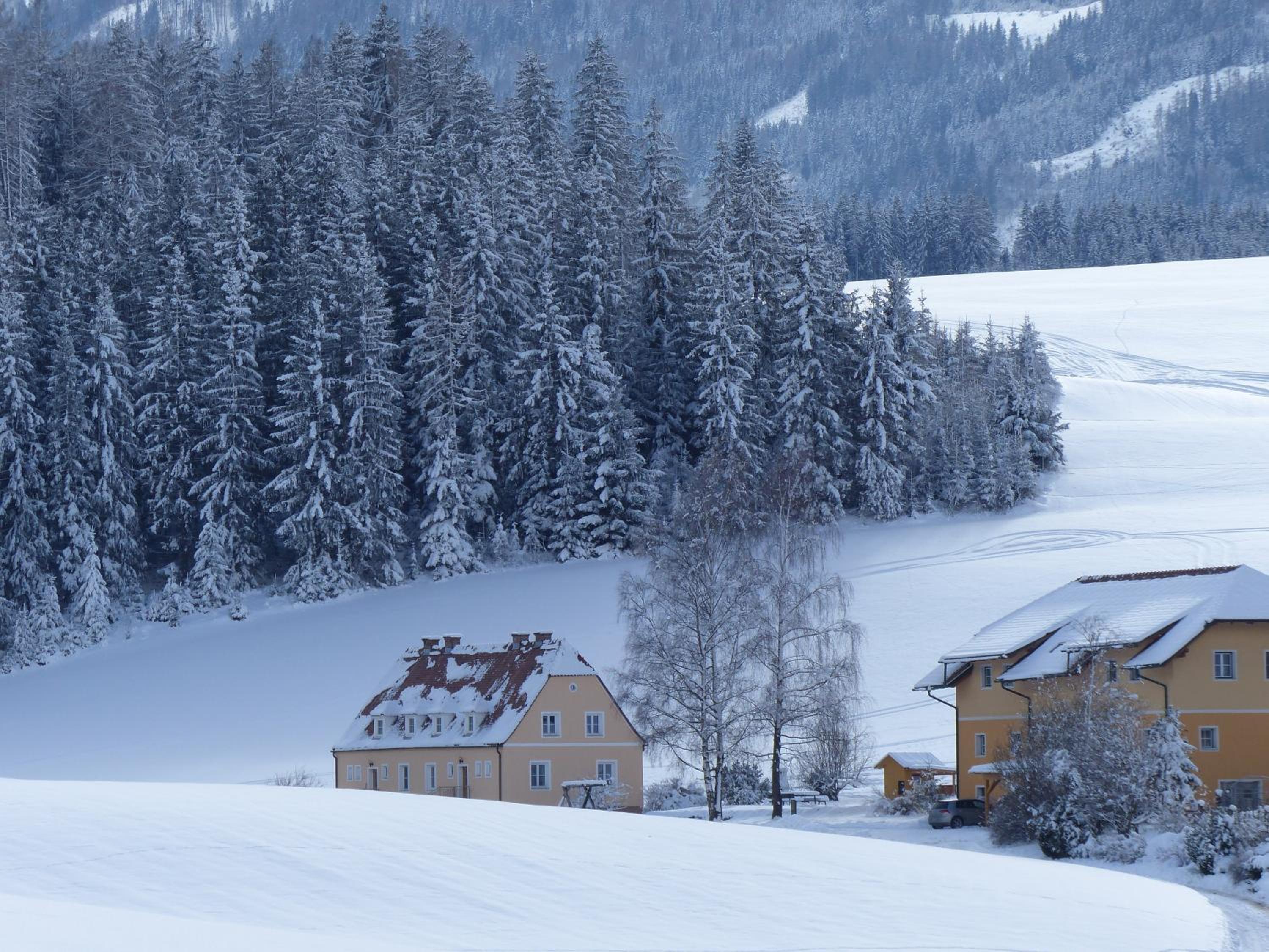 Ferienhaus Wohleser