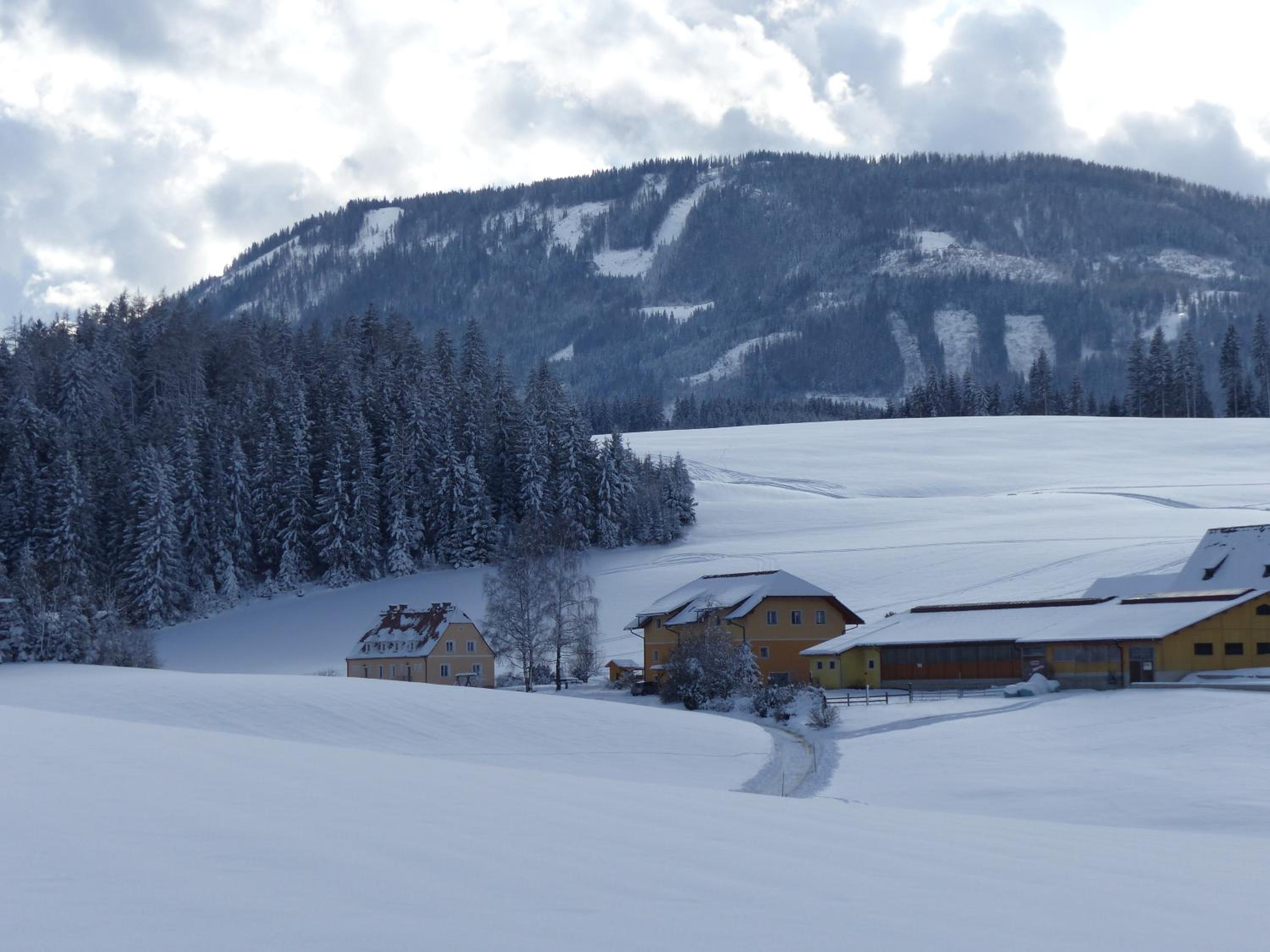 Ferienhaus Wohleser