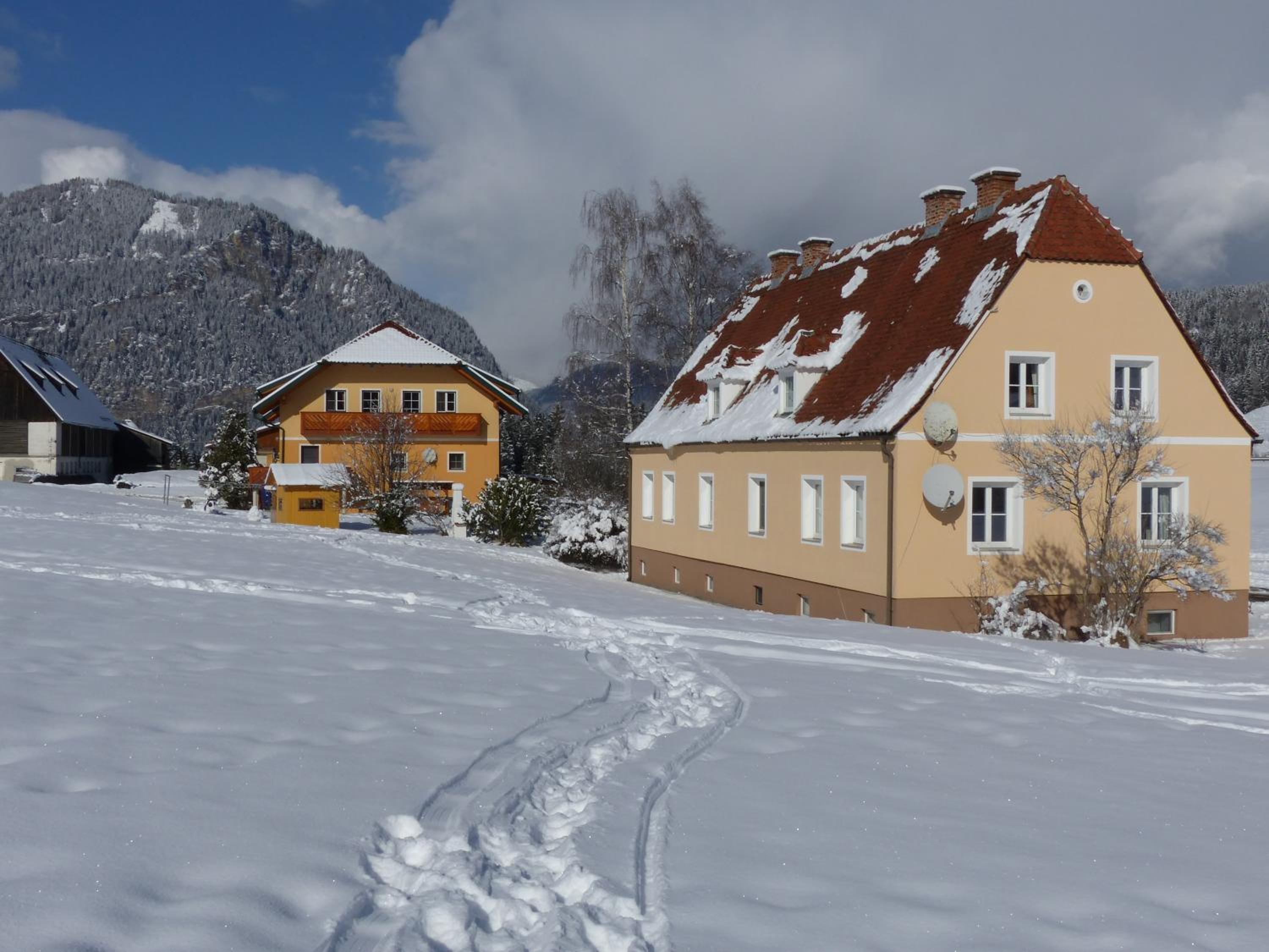 Ferienhaus Wohleser