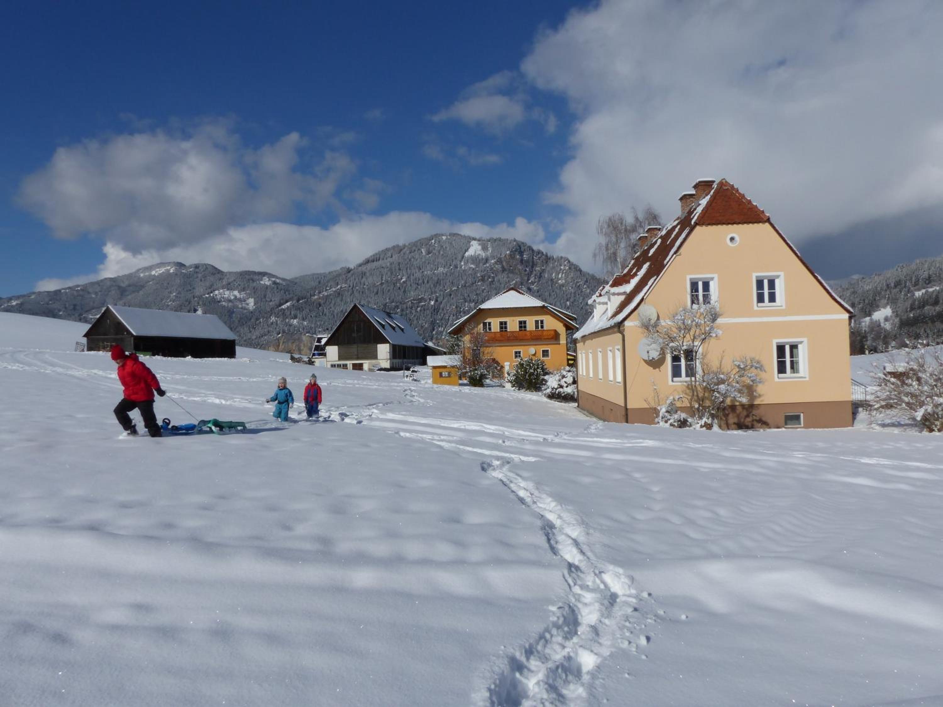 Ferienhaus Wohleser