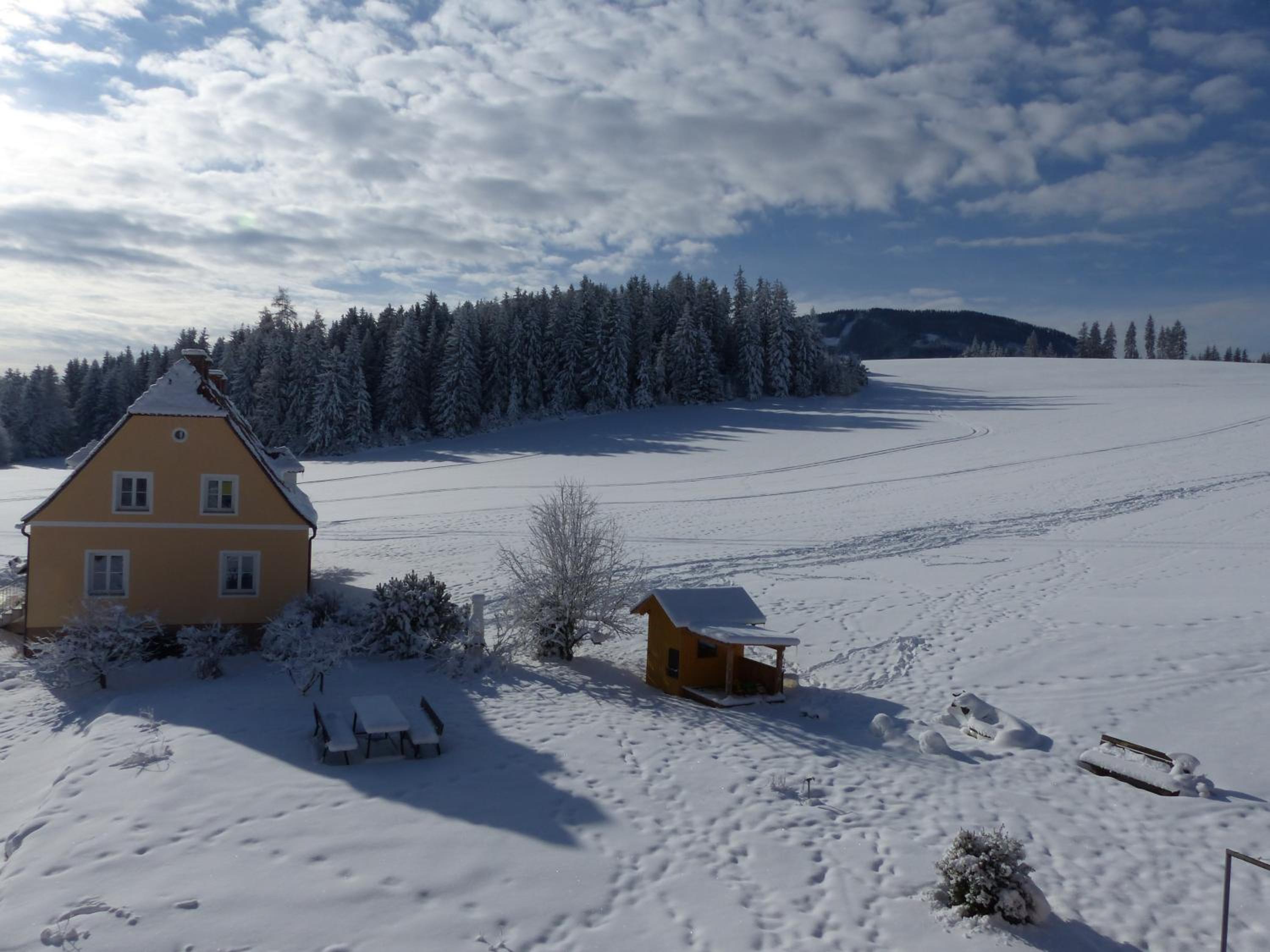 Ferienhaus Wohleser