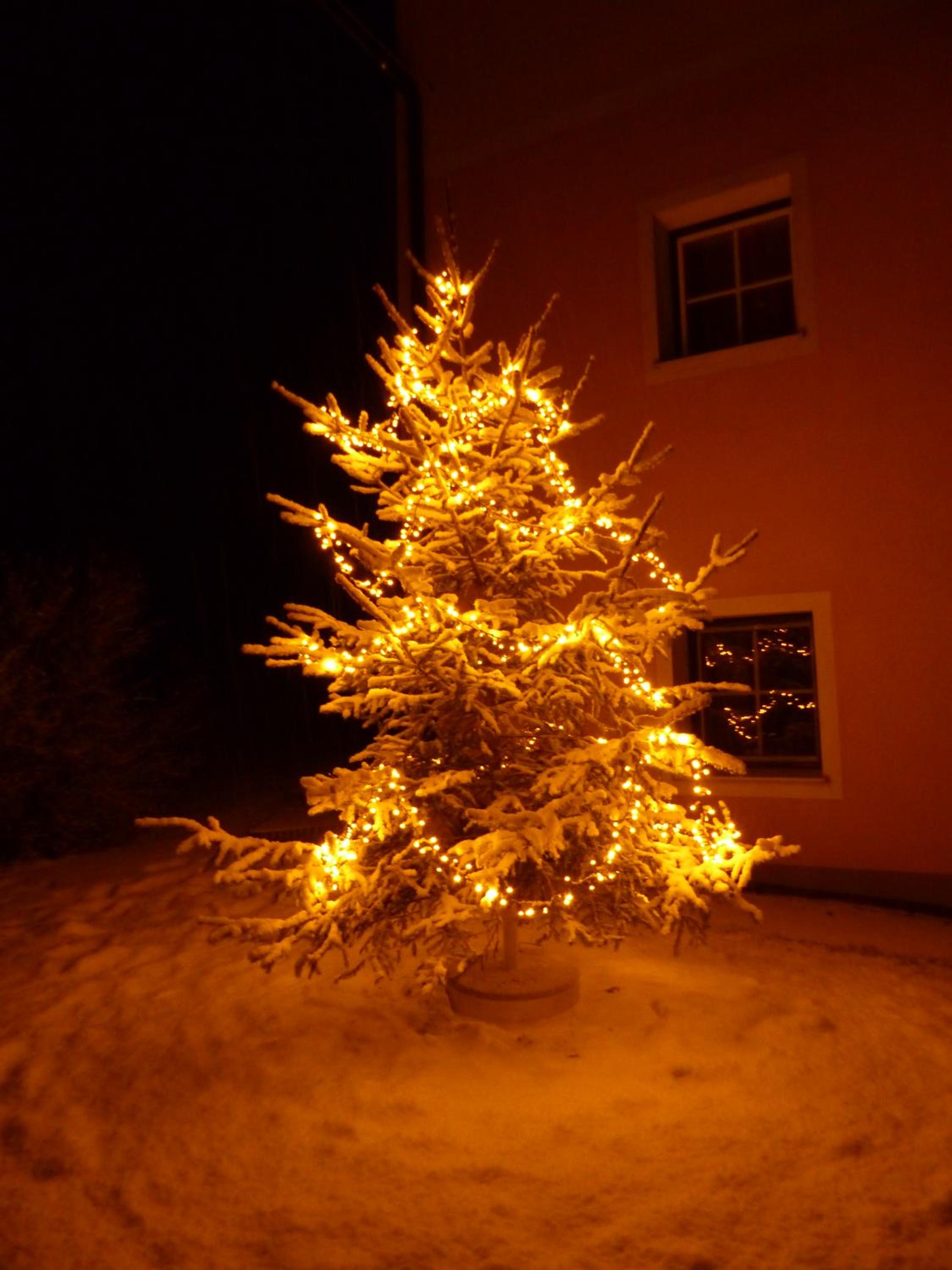 Ferienhaus Wohleser