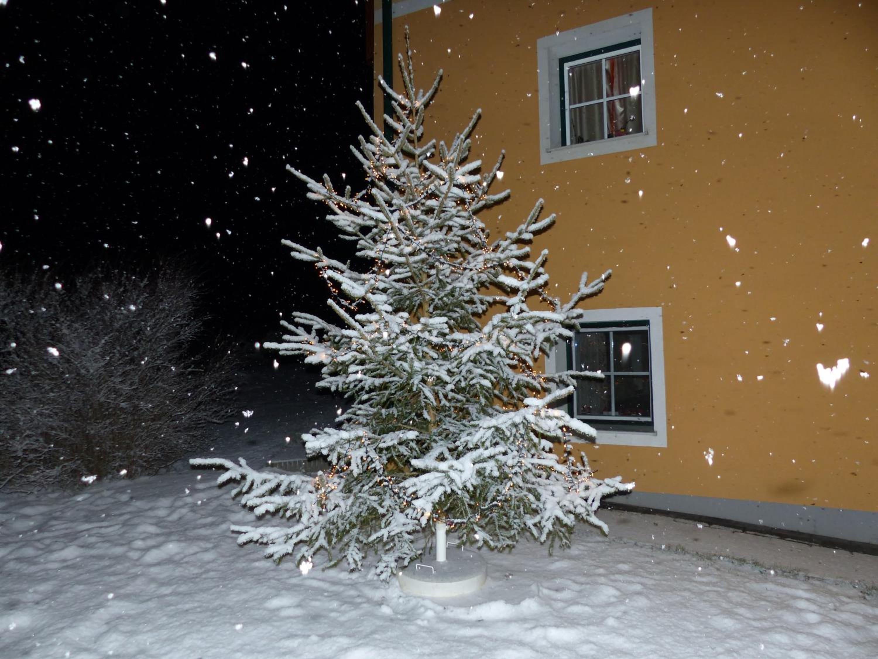 Ferienhaus Wohleser
