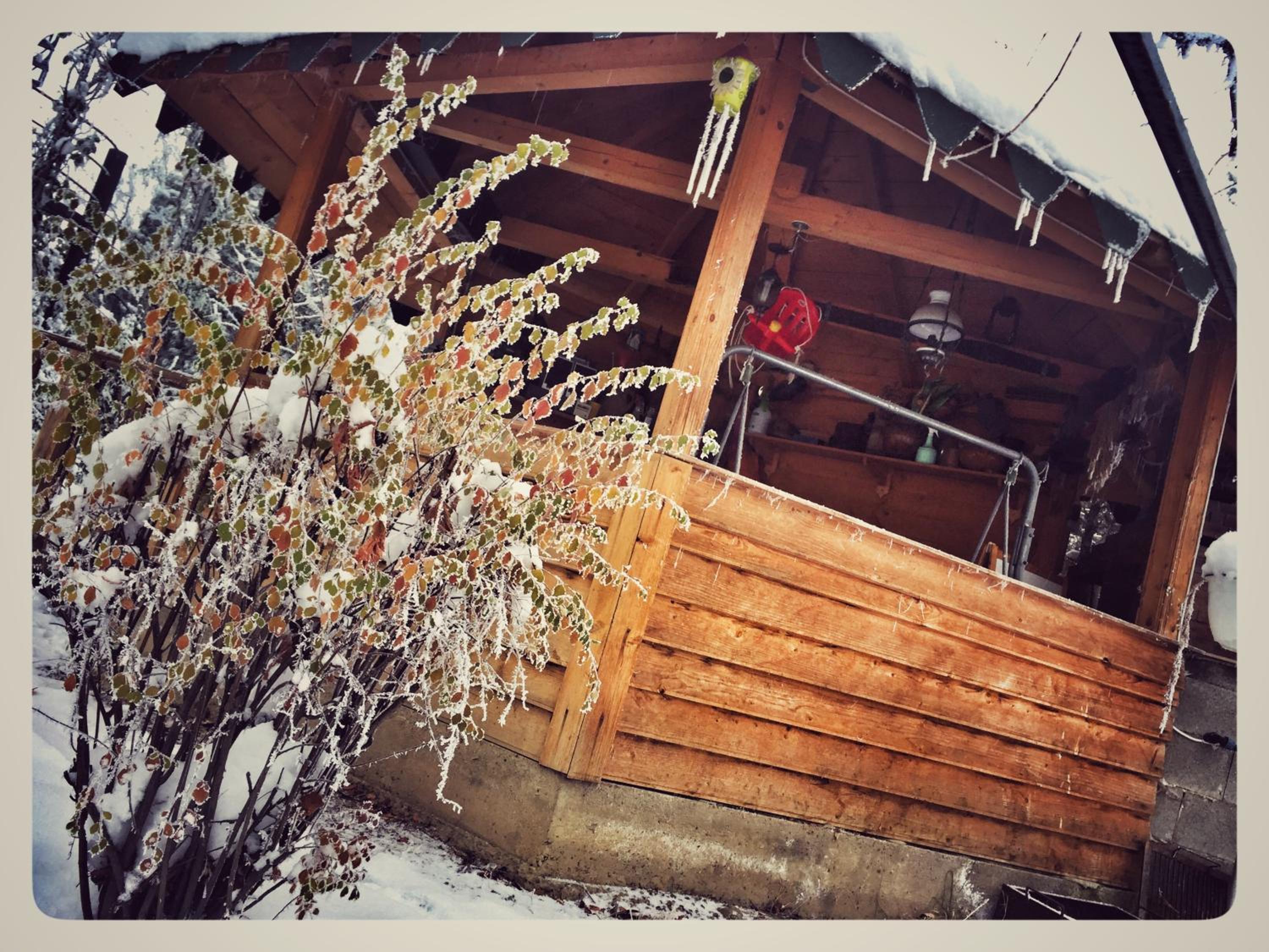 Photo 44