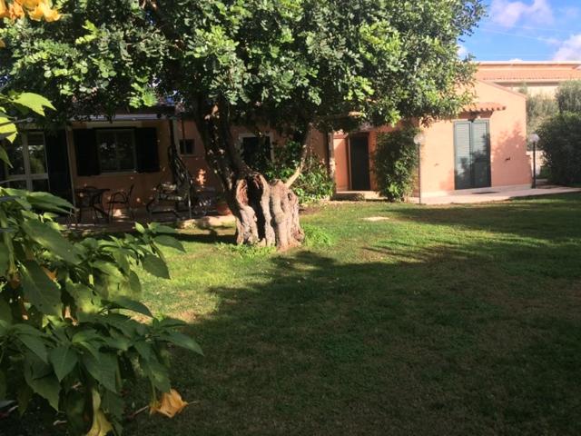Karrua House photo 5