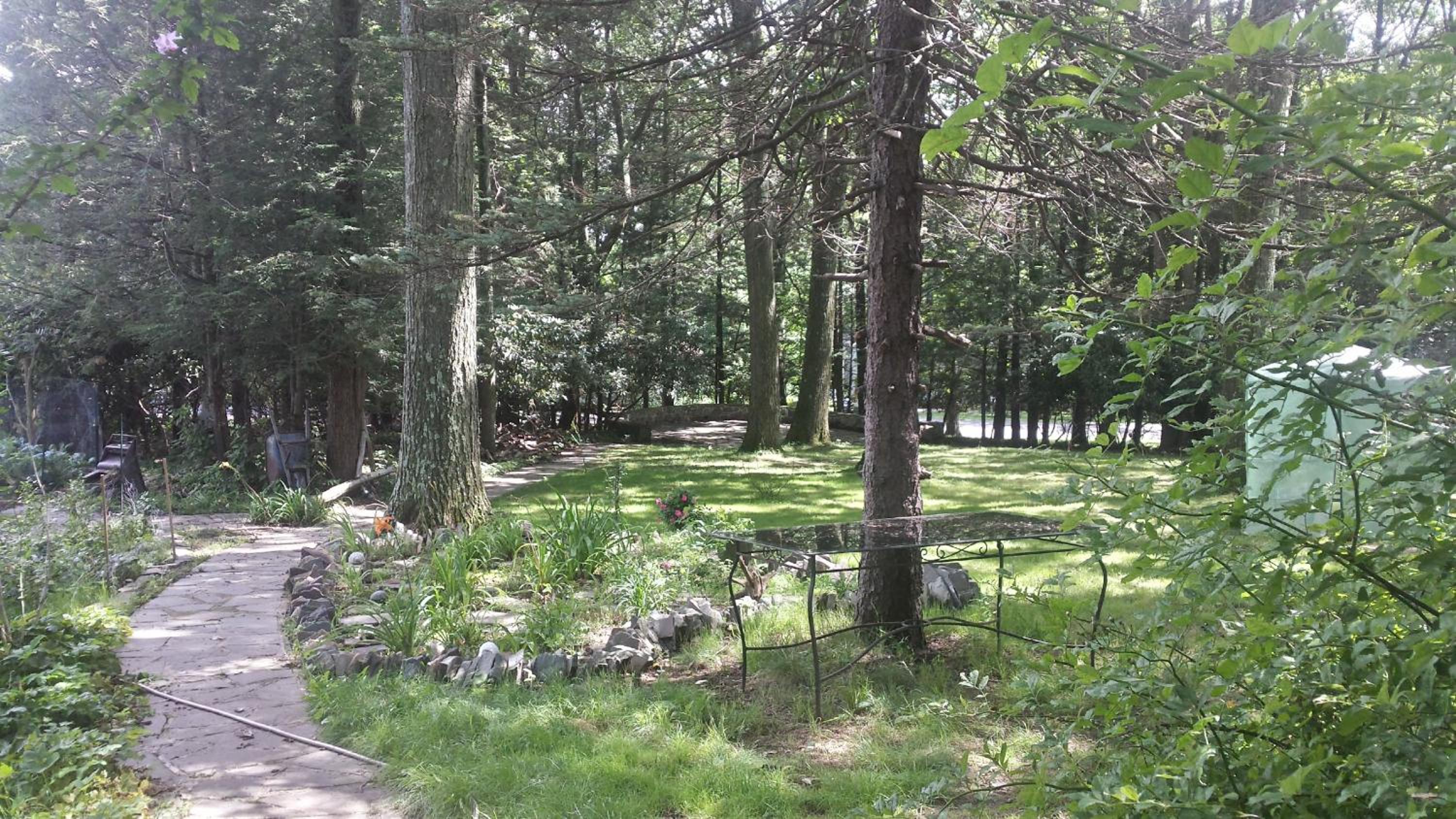 Photo 12