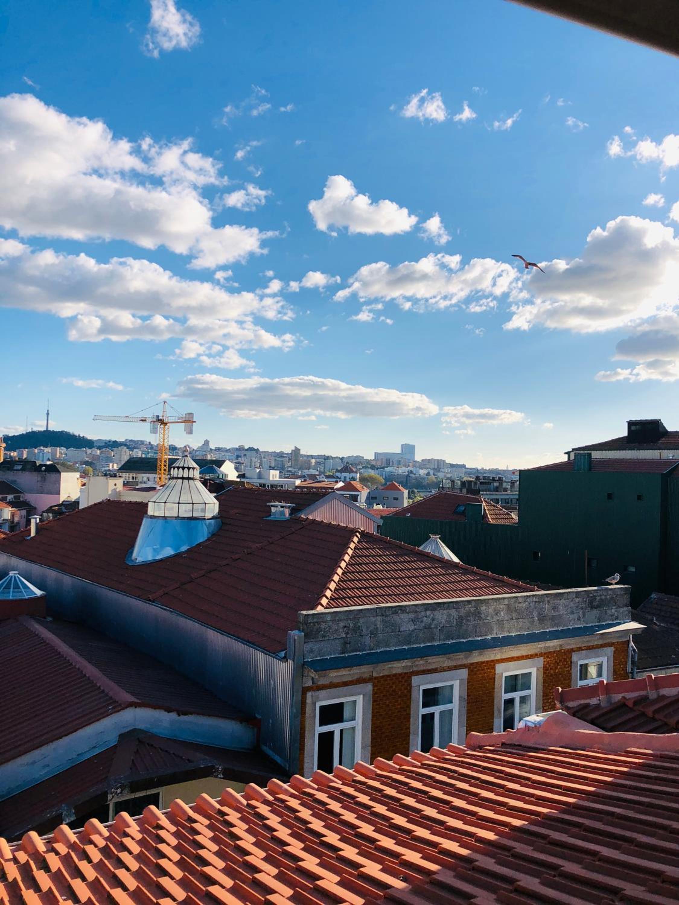 roof