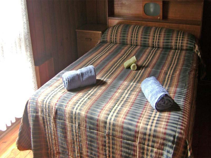 Accommodation Sydney North - Forestville 4 bedroom 2 bathroom Pet Friendly House
