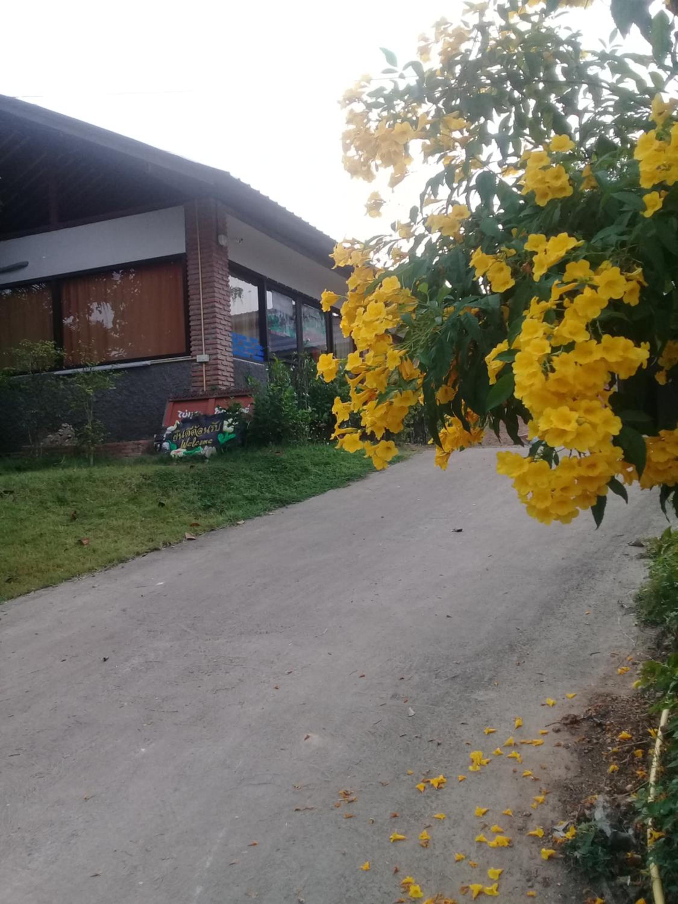 Photo 57