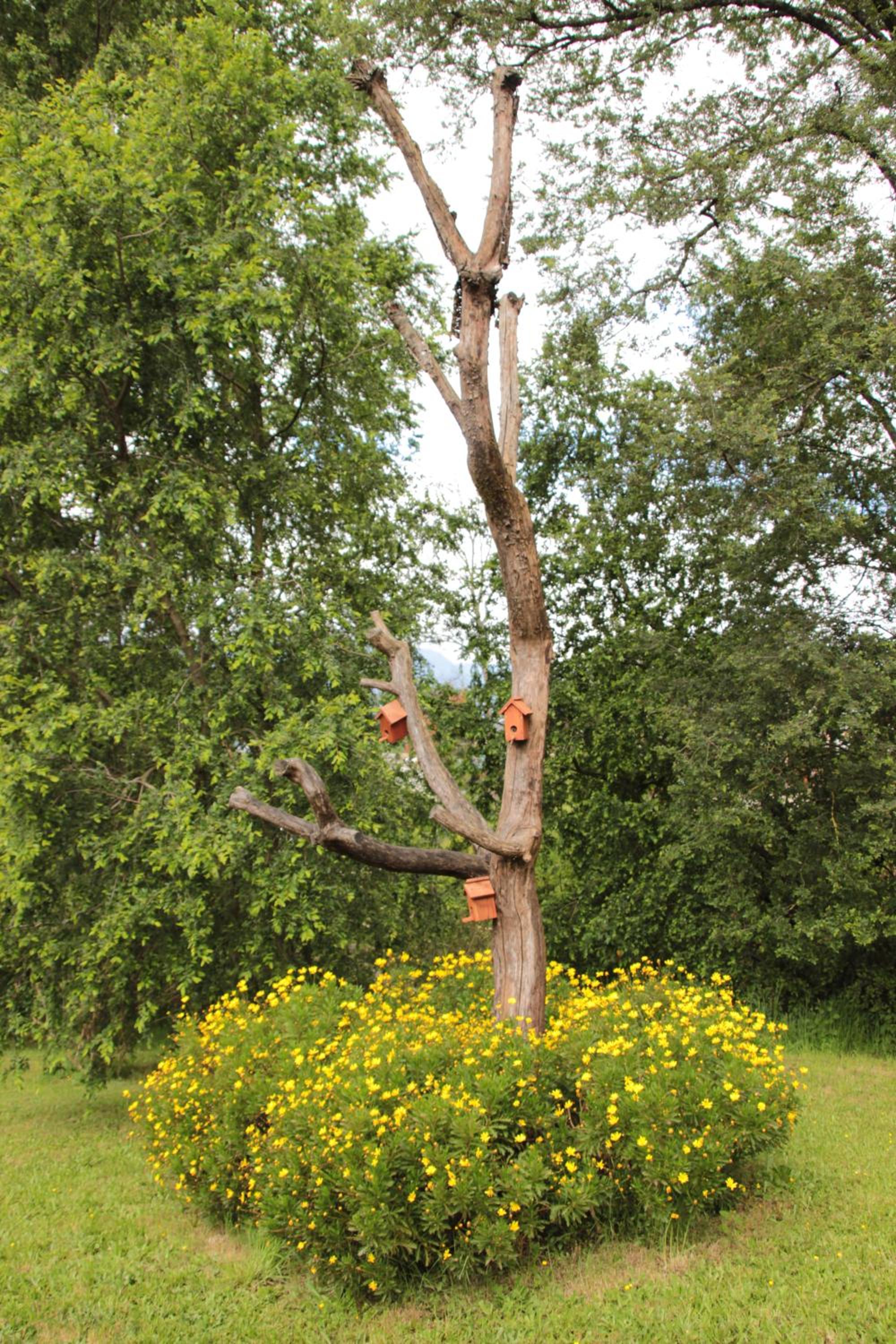 Photo 45
