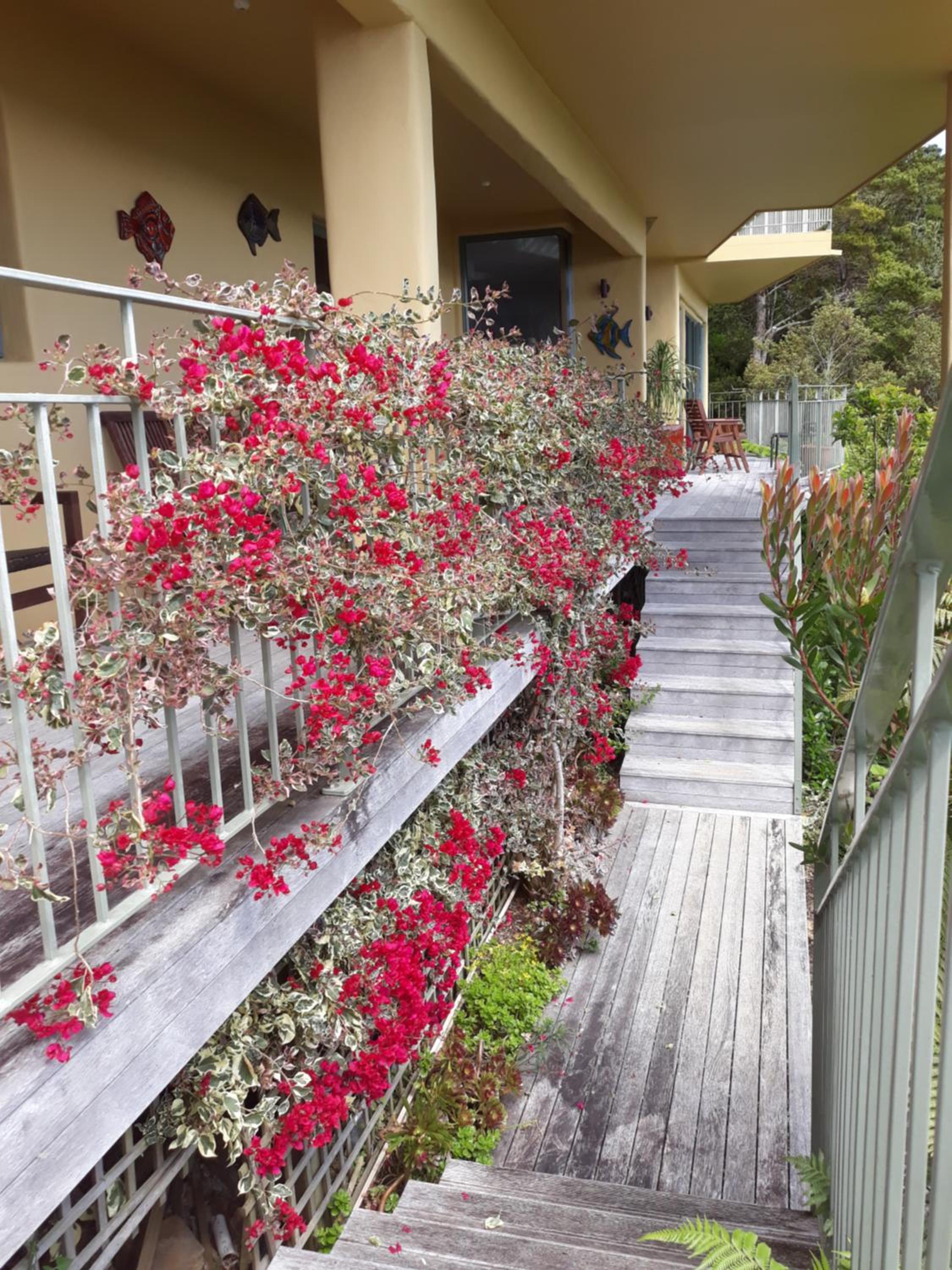 Allegra House