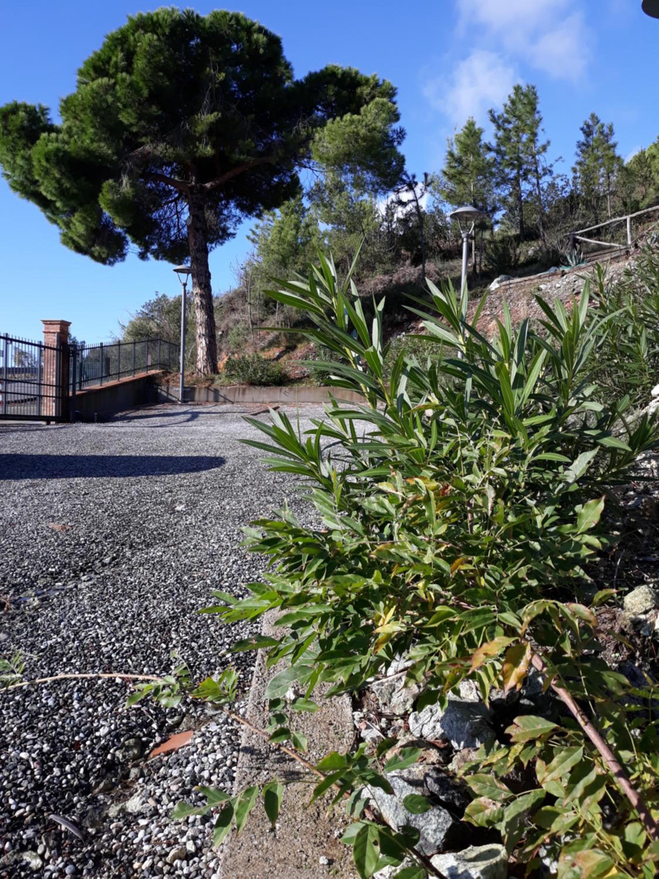 La Madonetta - Dimora d'epoca -