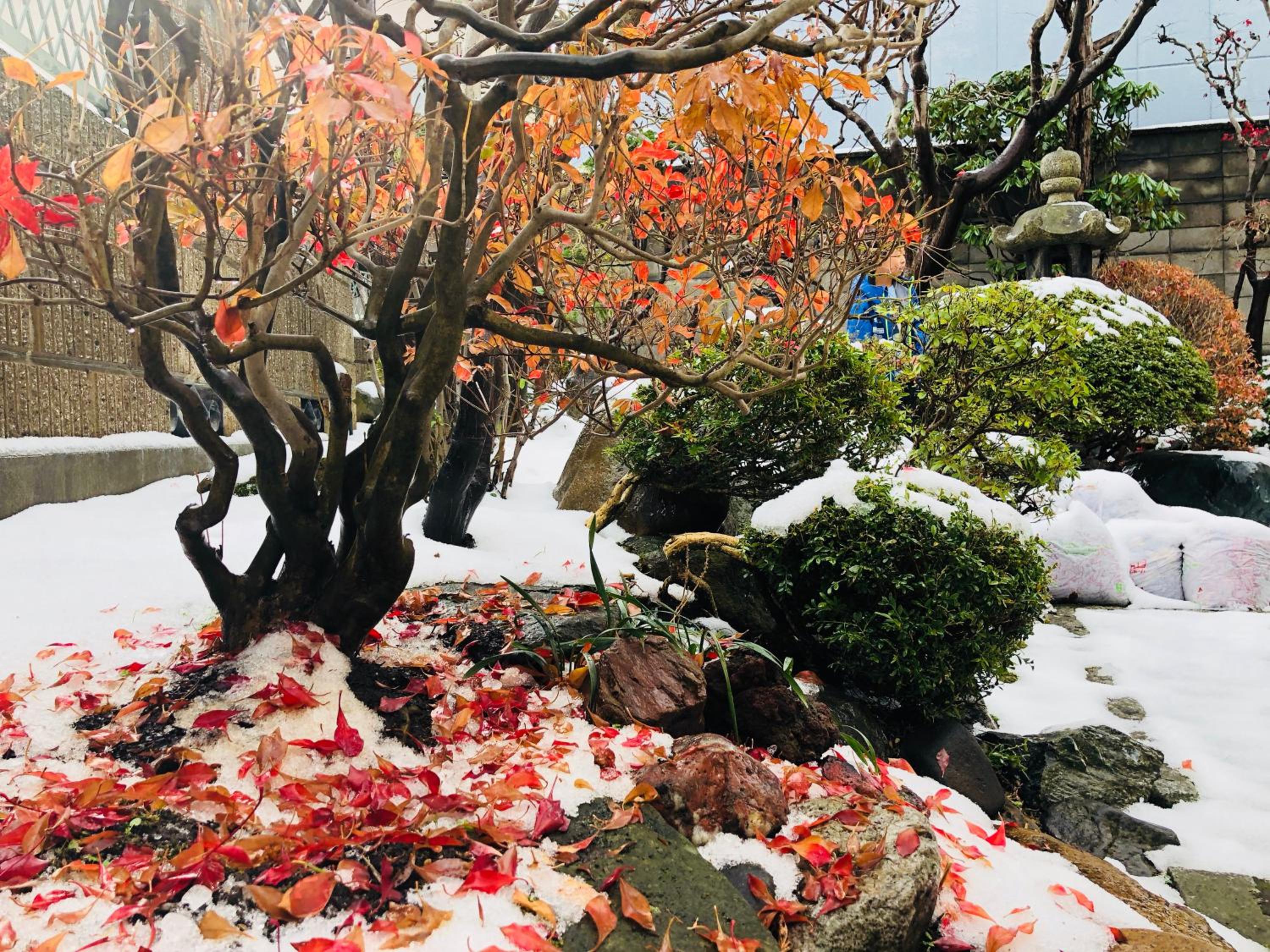 Nishikien inn 錦園