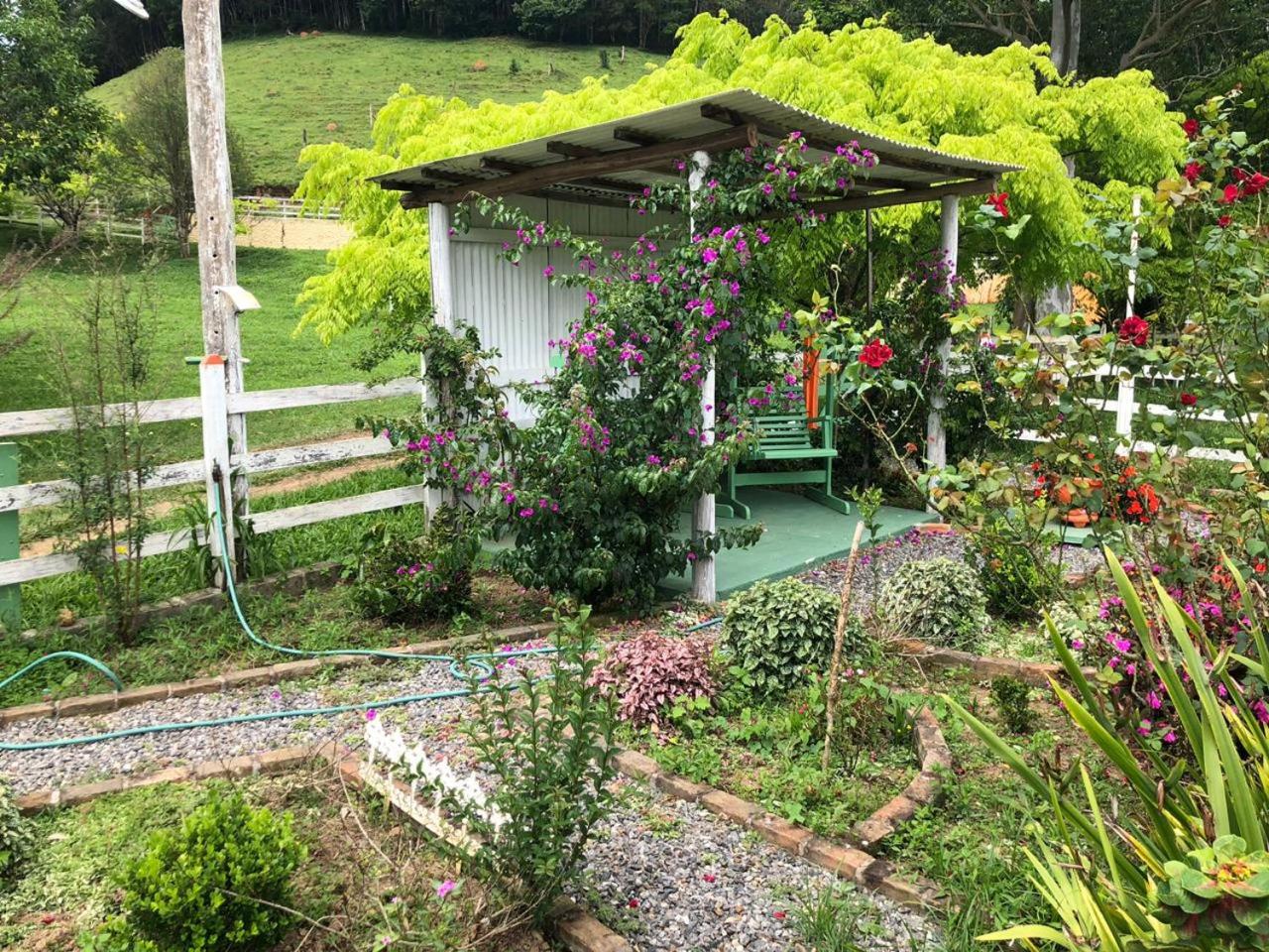 Fazenda Chico Pereira
