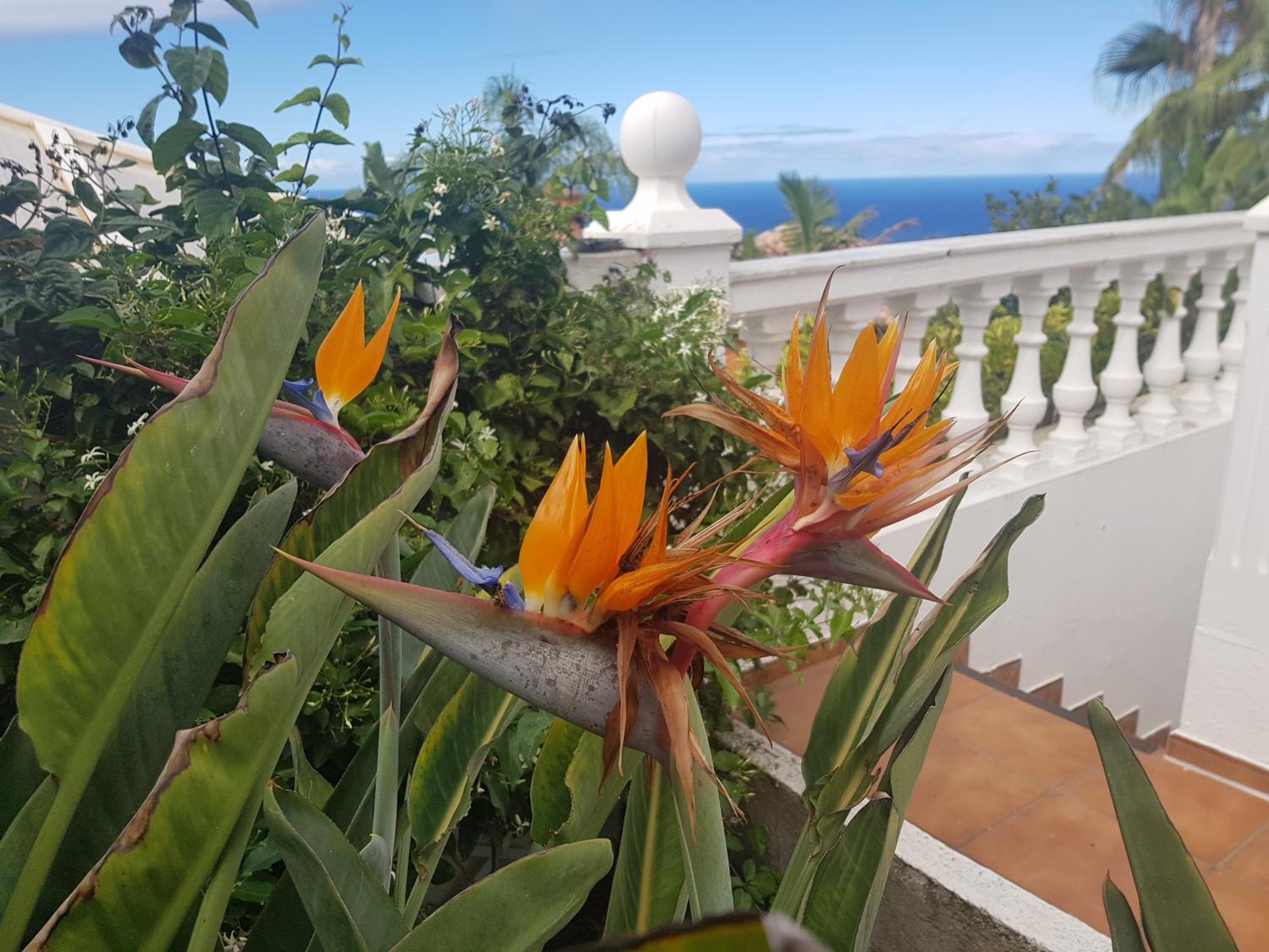 Villa Larnia de Tenerife