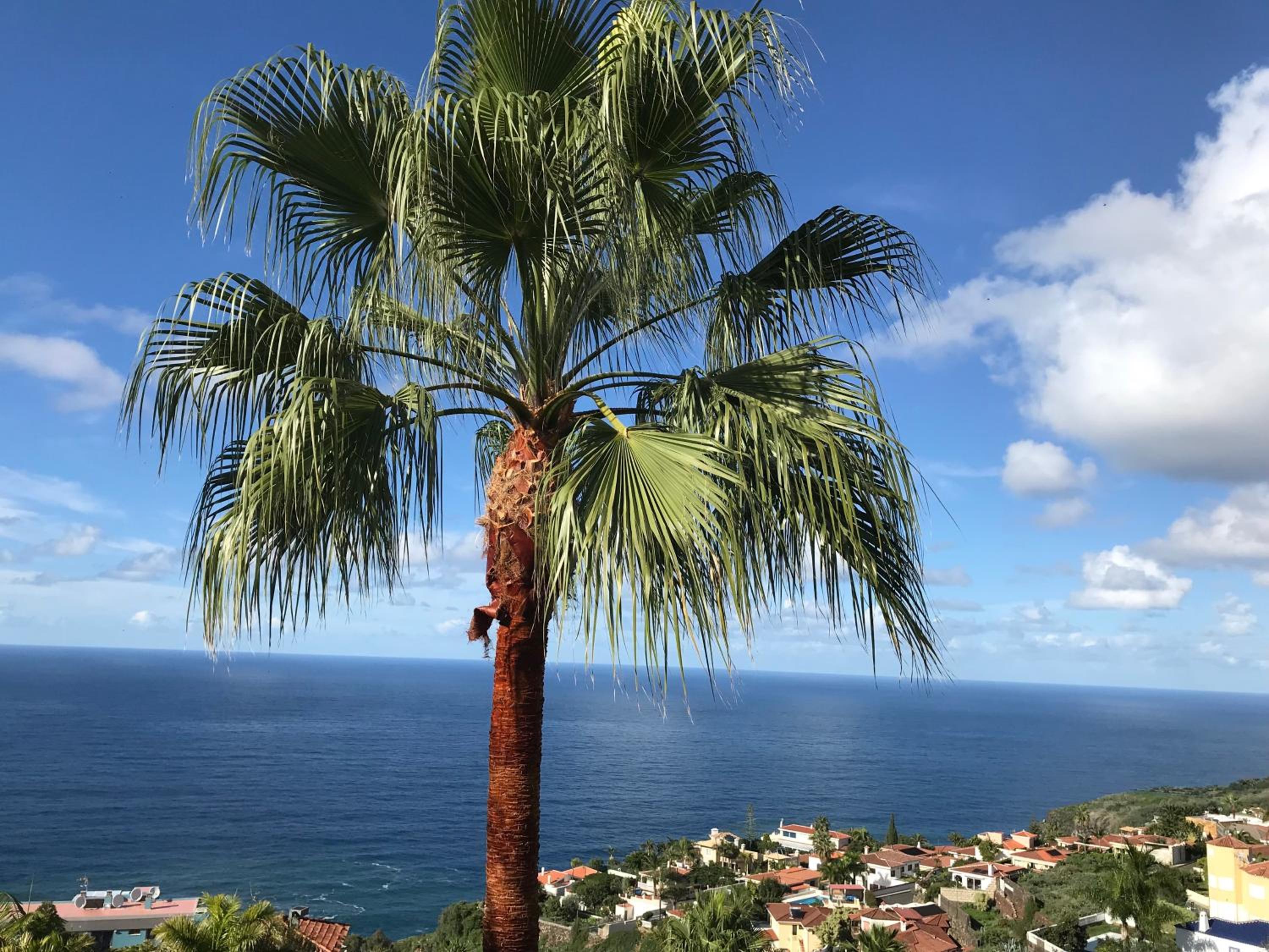 Villa Larnia de Tenerife