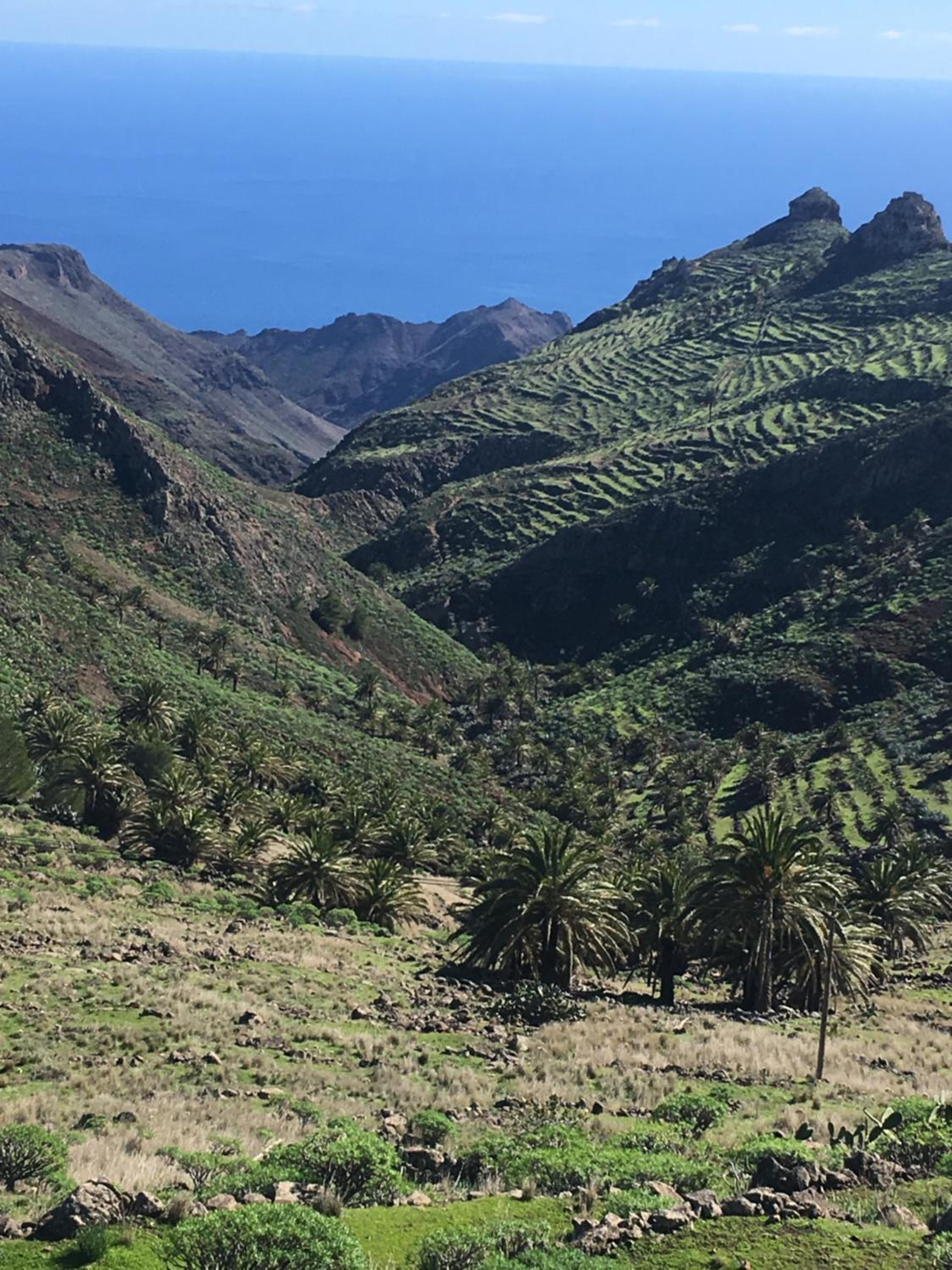 APARTAMENTO AINARA, LA GOMERA
