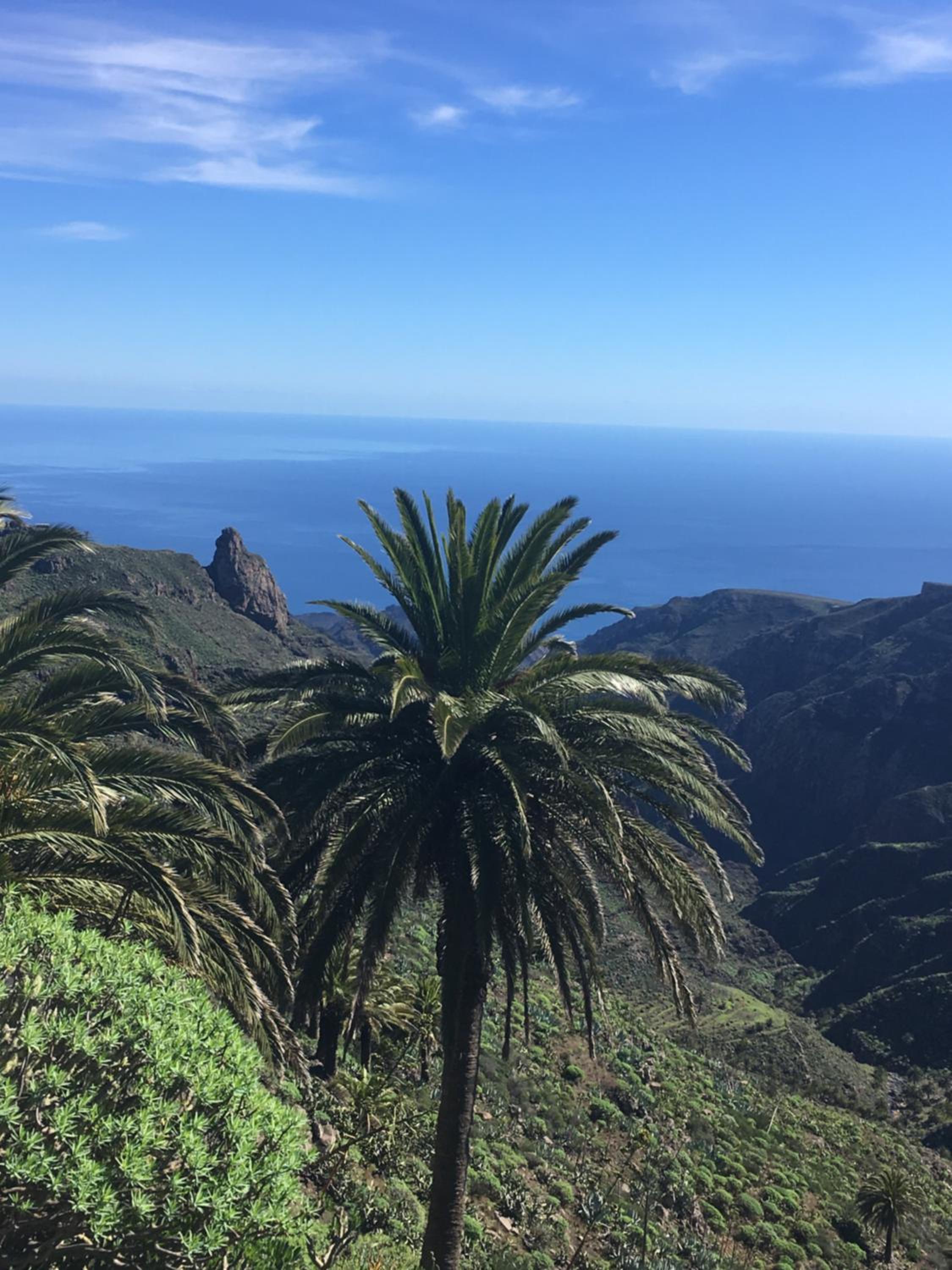 APARTAMENTO AINARA, LA GOMERA