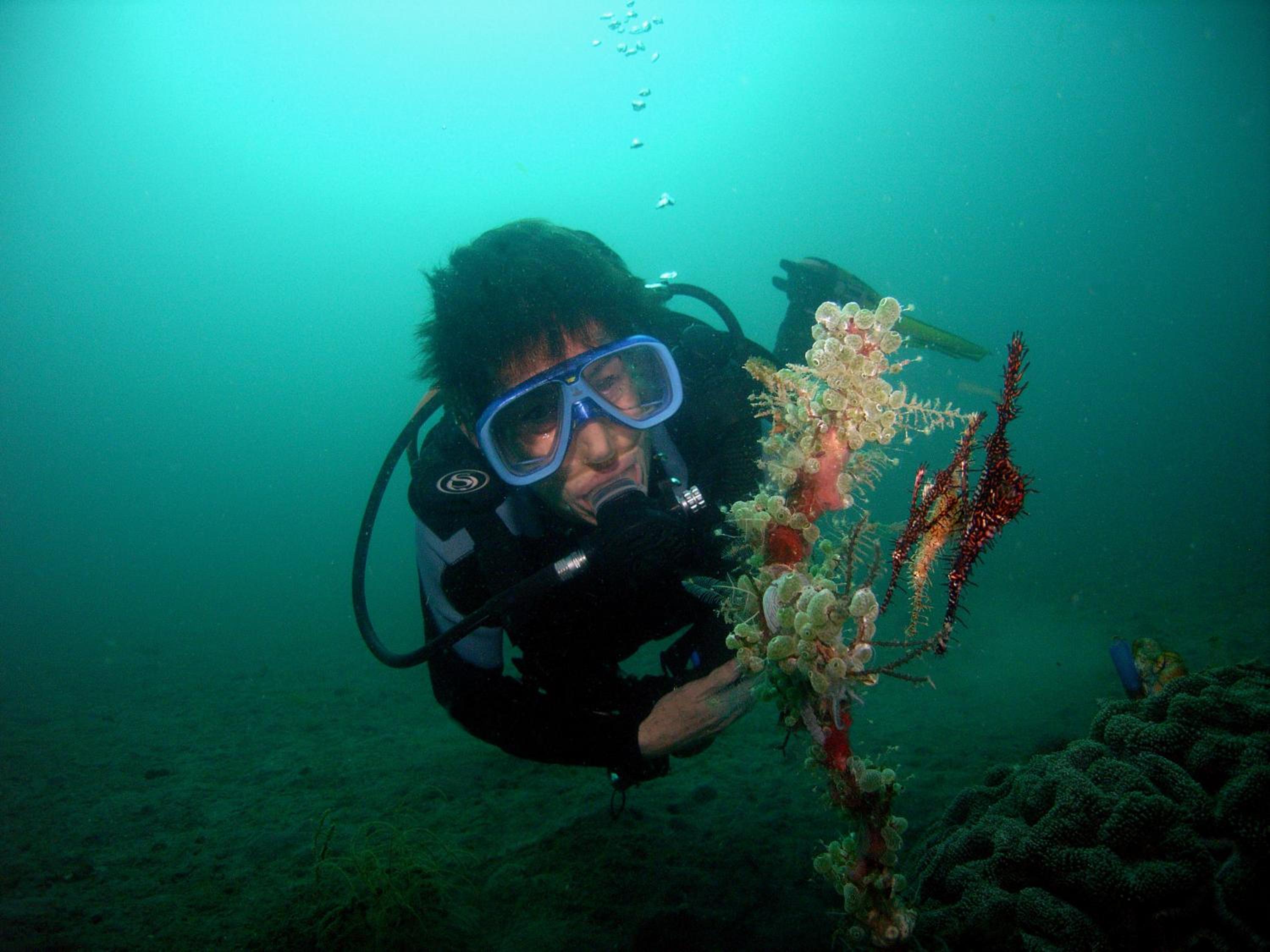 Camiguin Volcan Beach Eco Retreat & Dive Resort — photo 34