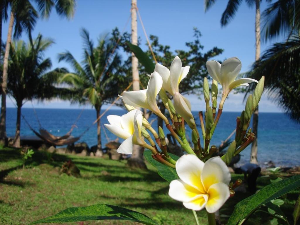 Camiguin Volcan Beach Eco Retreat & Dive Resort — photo 37