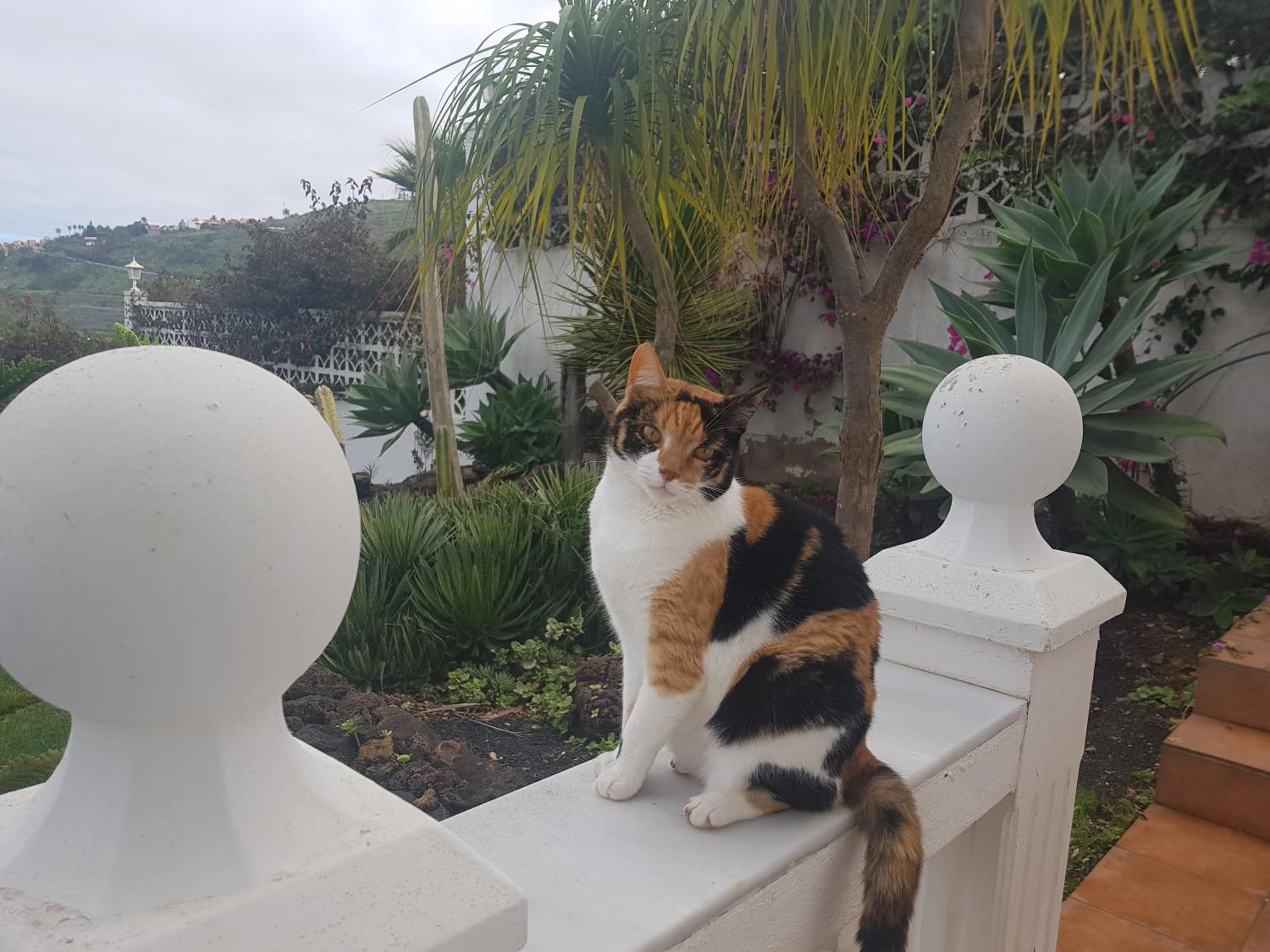 Villa Larnia de Tenerife