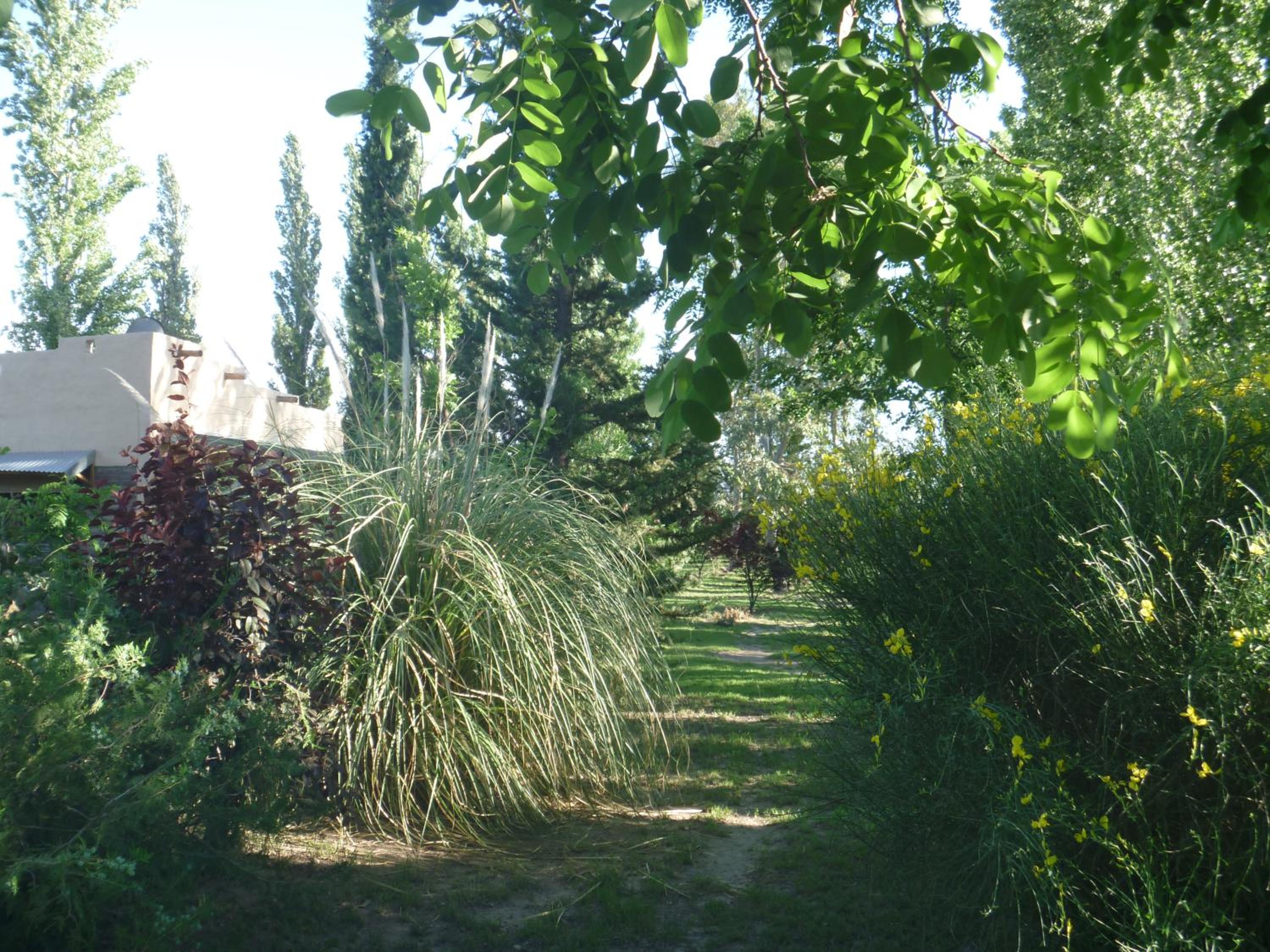 Cabañas Aike