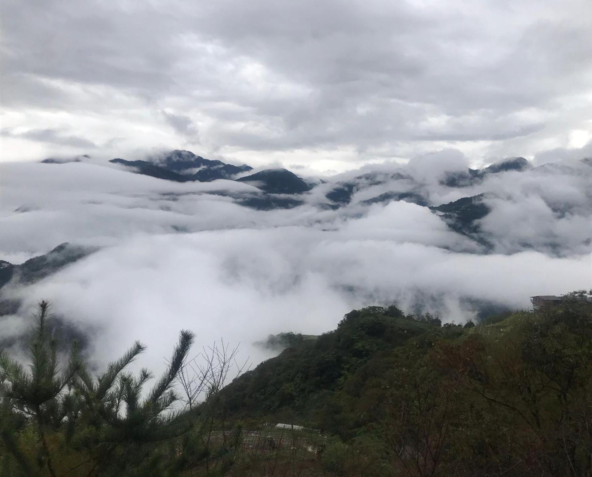 Sunnydale B&B view 5