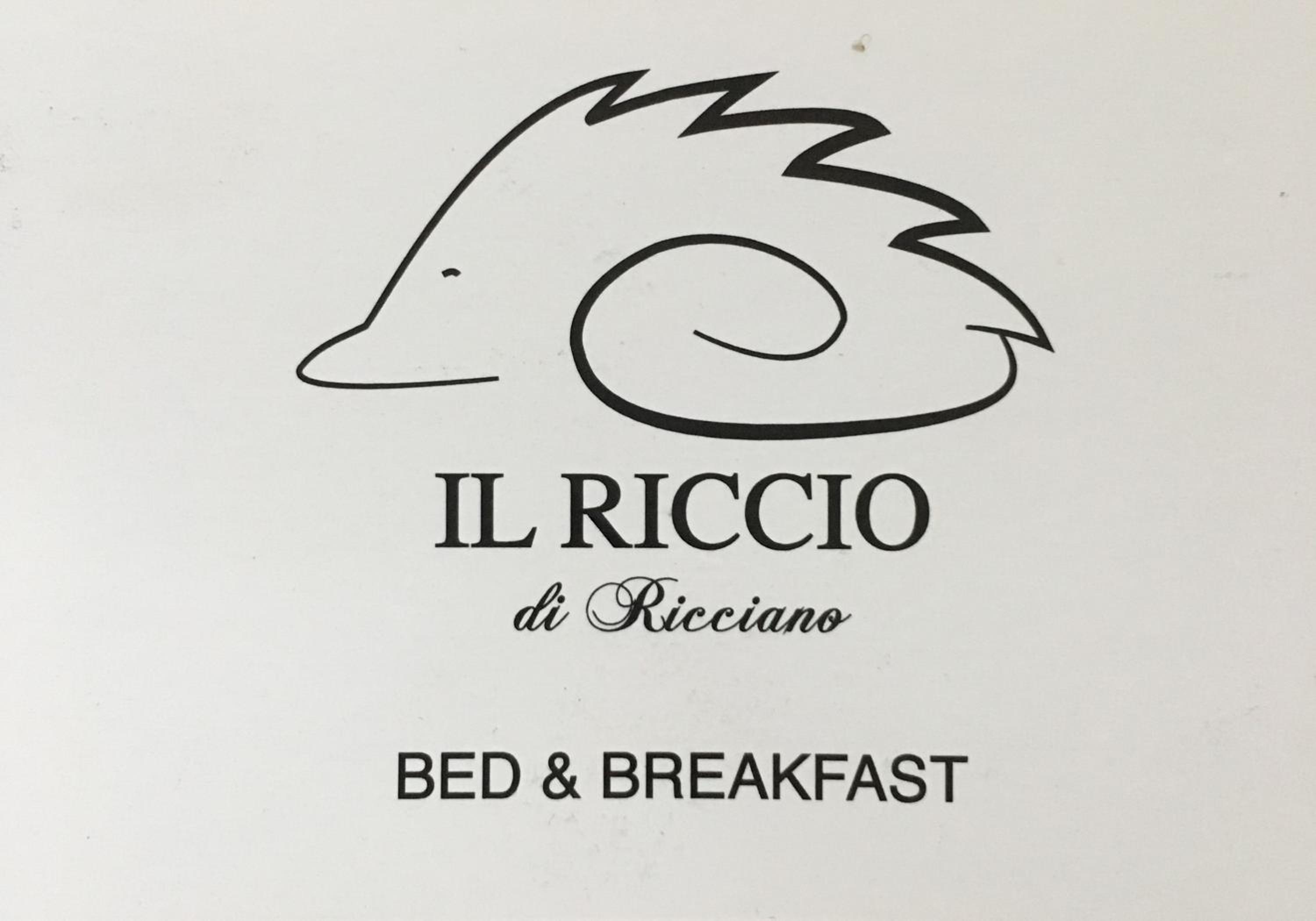 Il riccio di Ricciano
