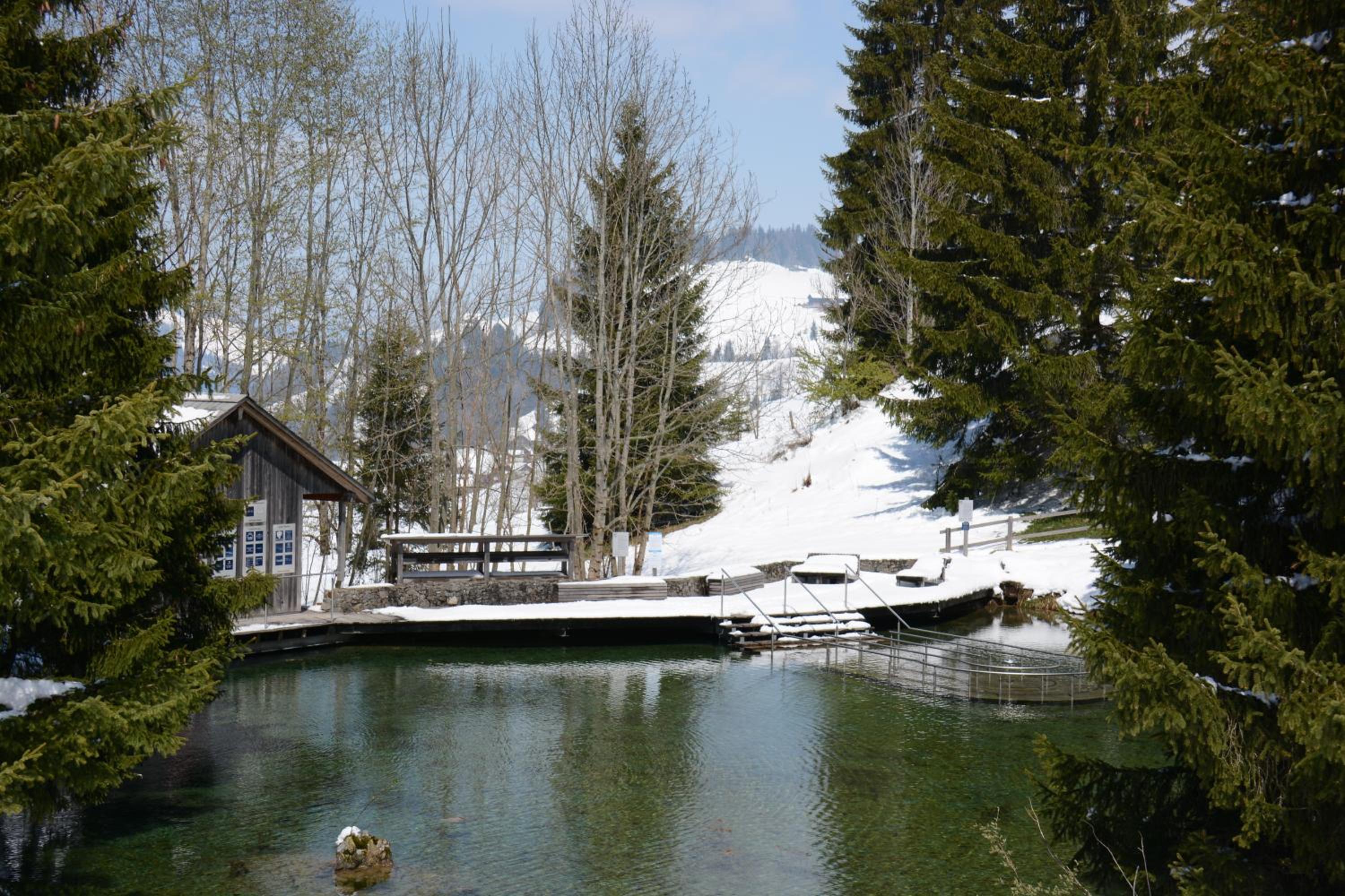 Chalet Nr. 50