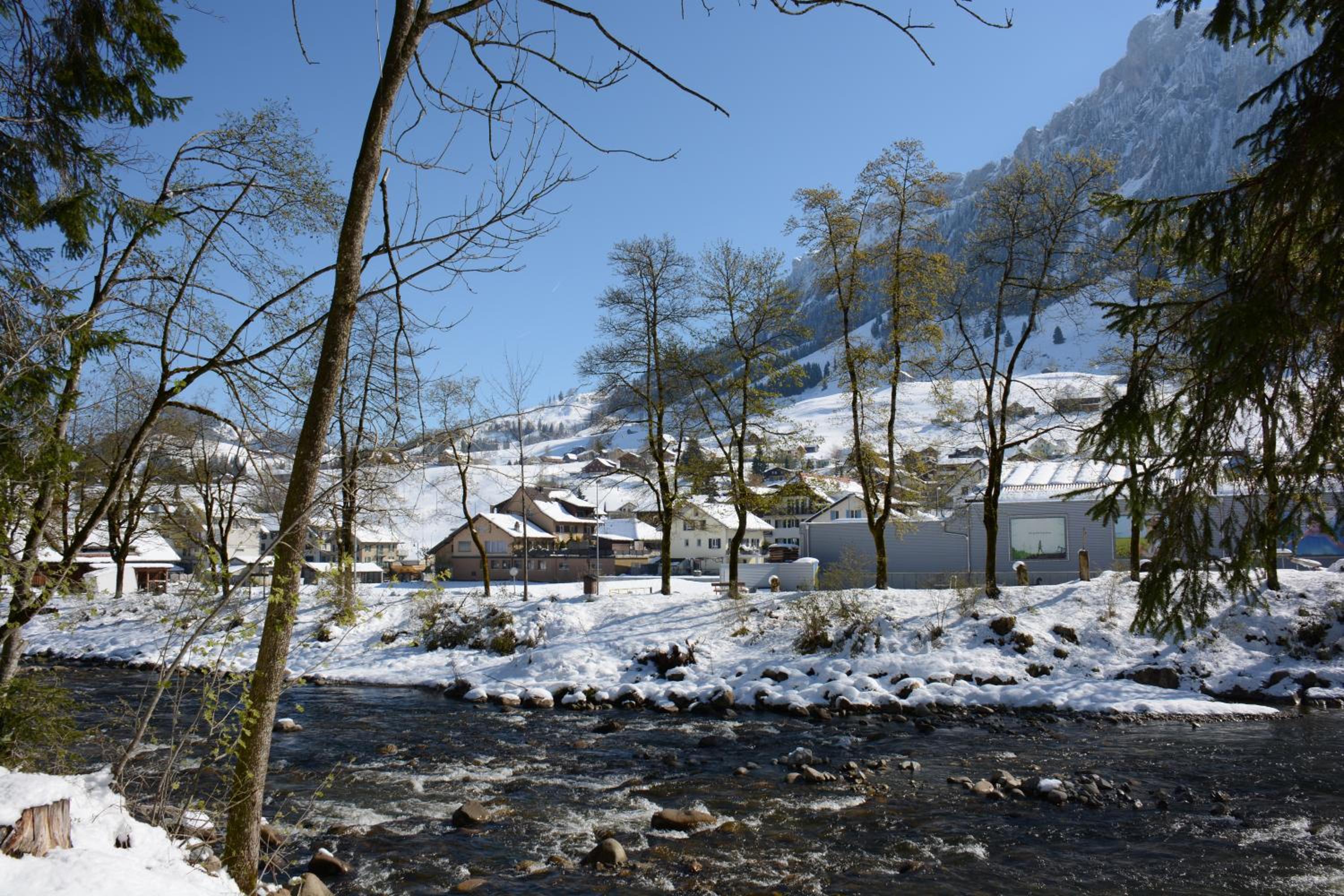 Chalet Nr. 50