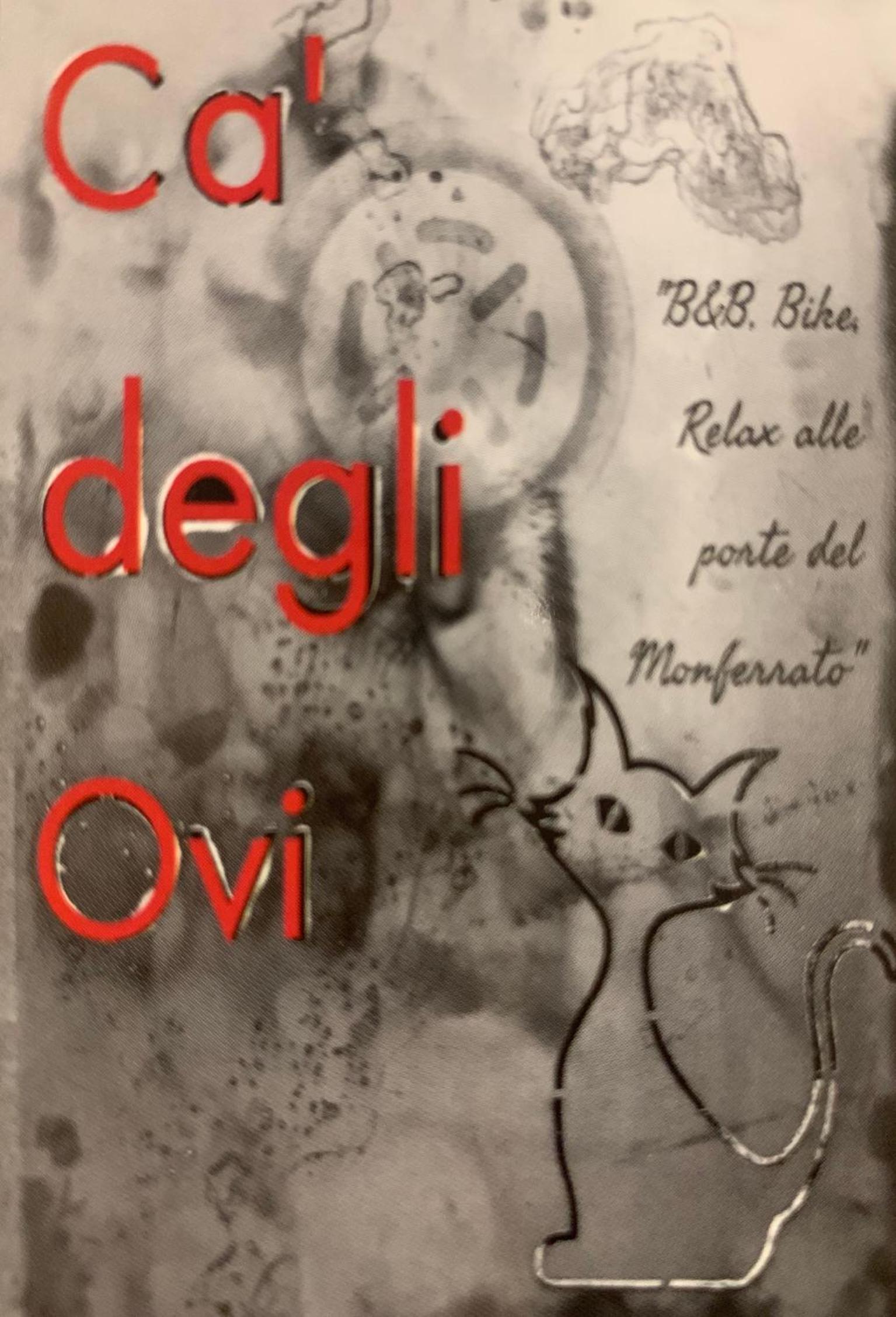 Photo 38